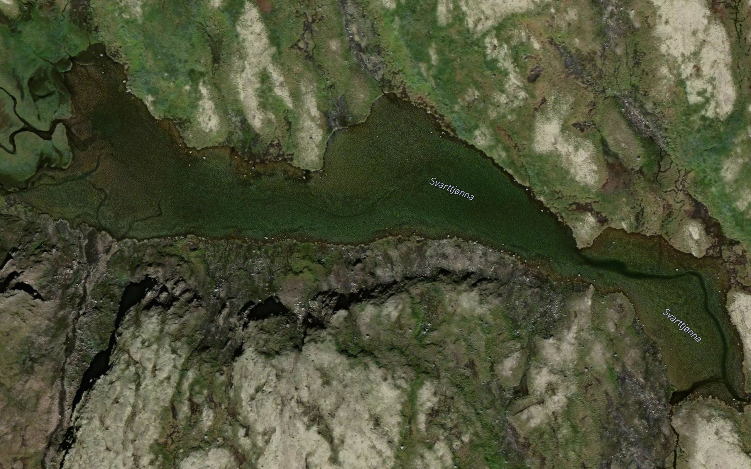 Svarttjorna