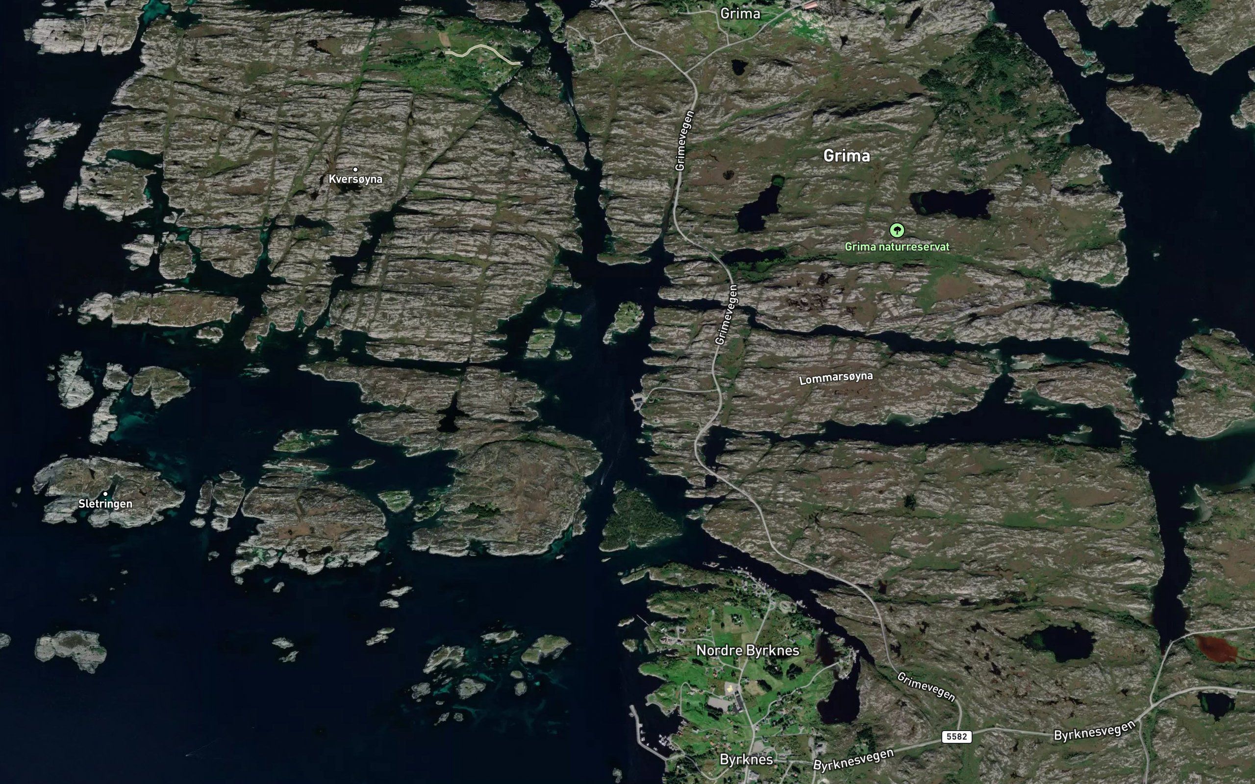 Gronevika