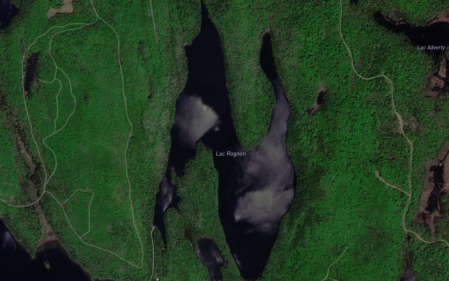 Satellite map of the Lac Rognon