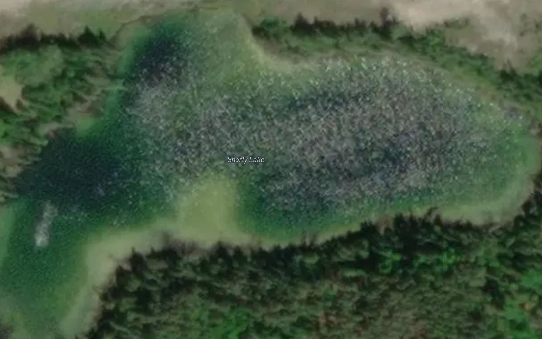 Satellite map of the Shorty Lake