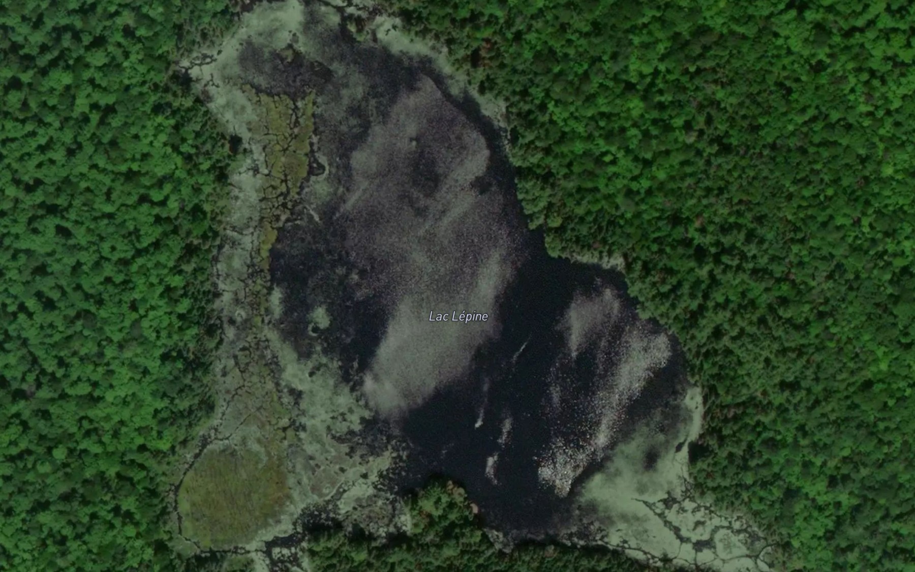 Satellite map of the Lac Lepine