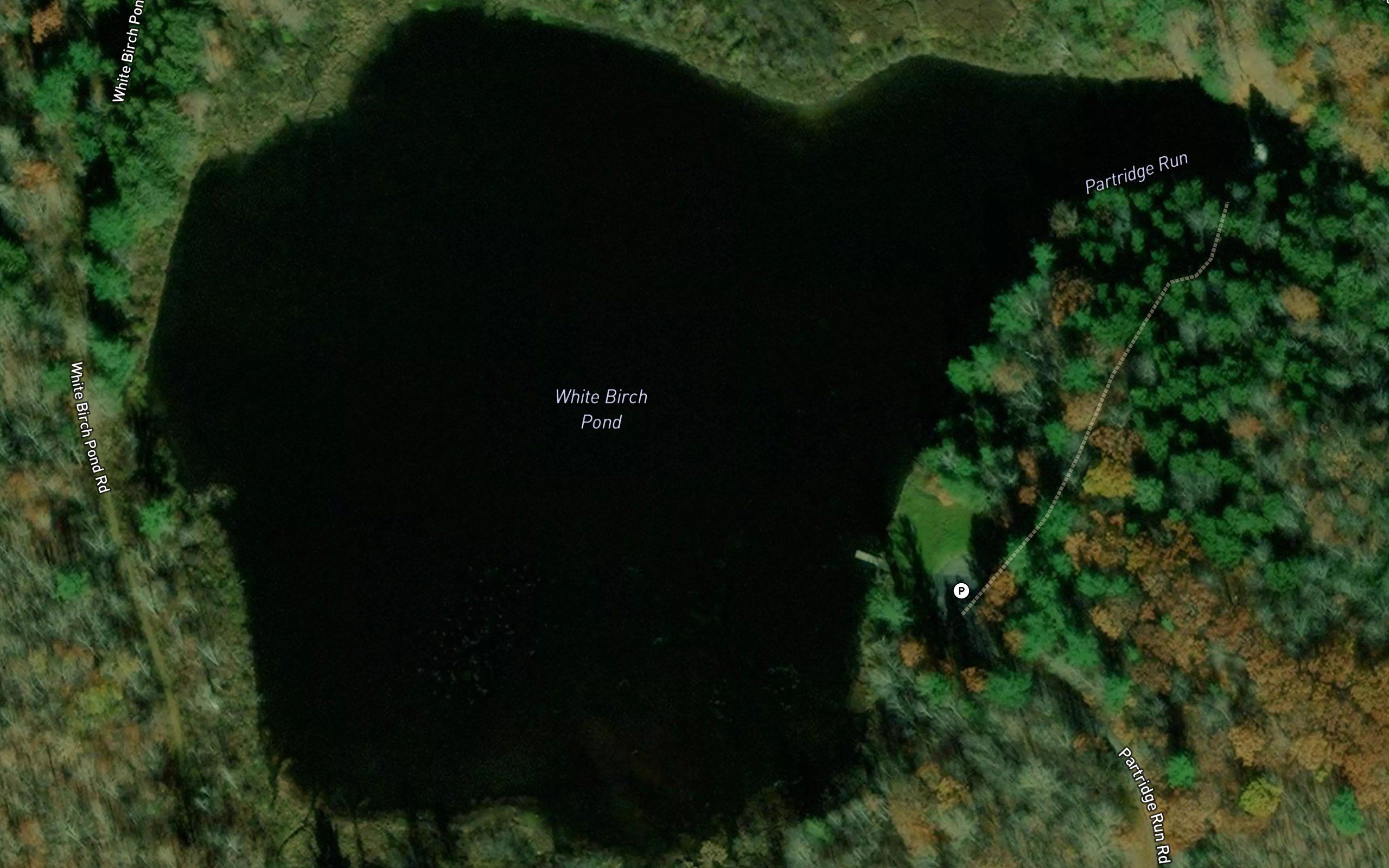 White Birch Pond