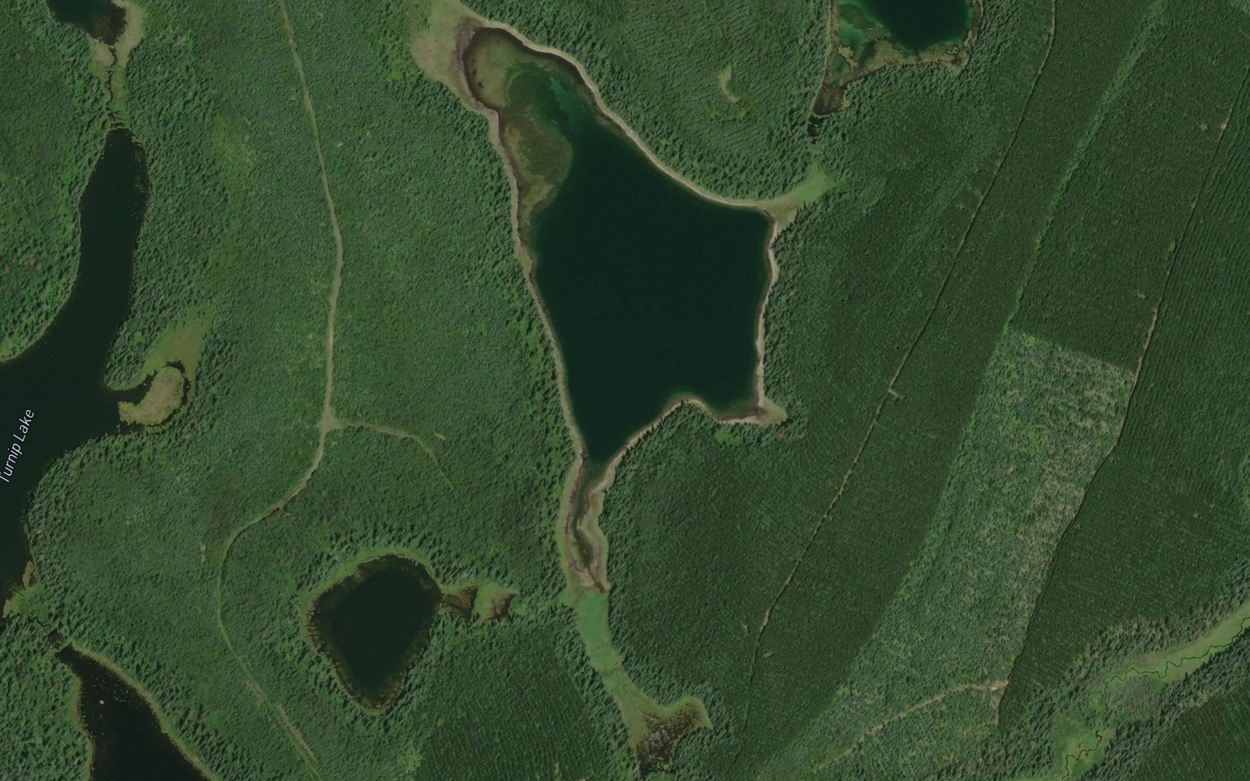 Little Skunk Lake