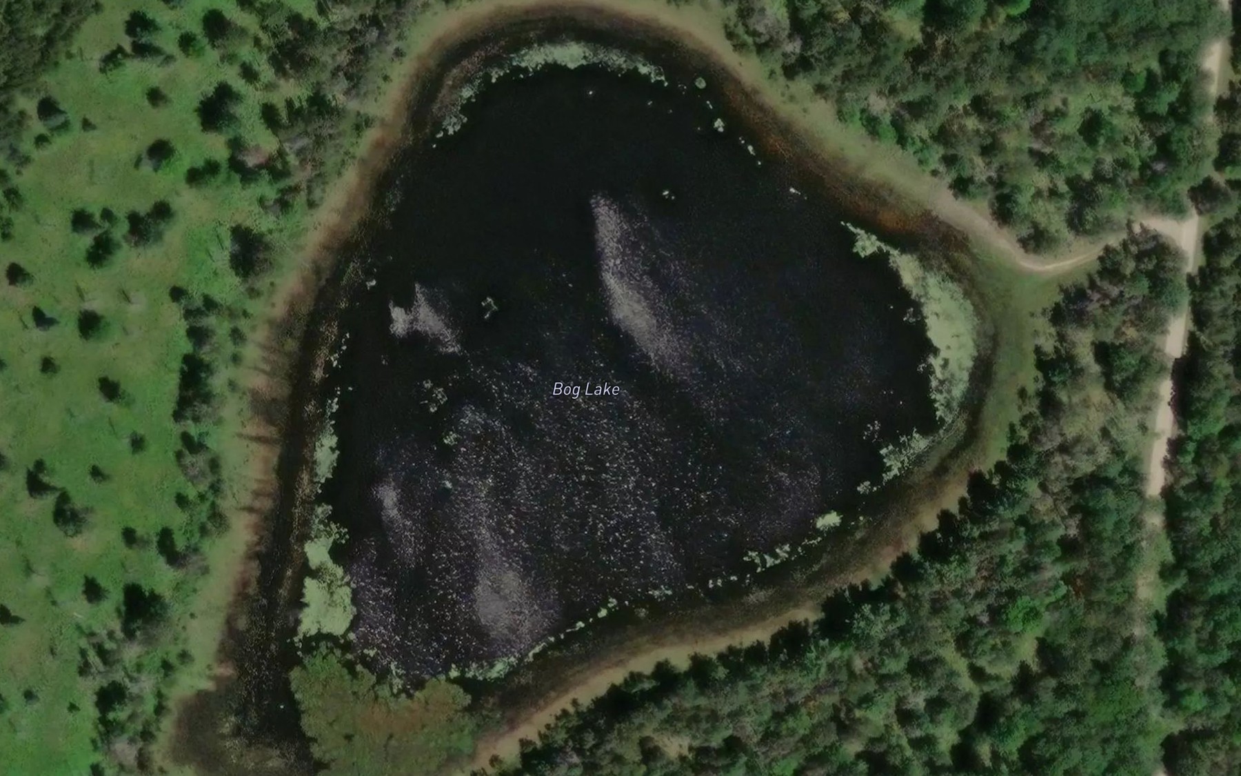 Satellite map of the Bog Lake
