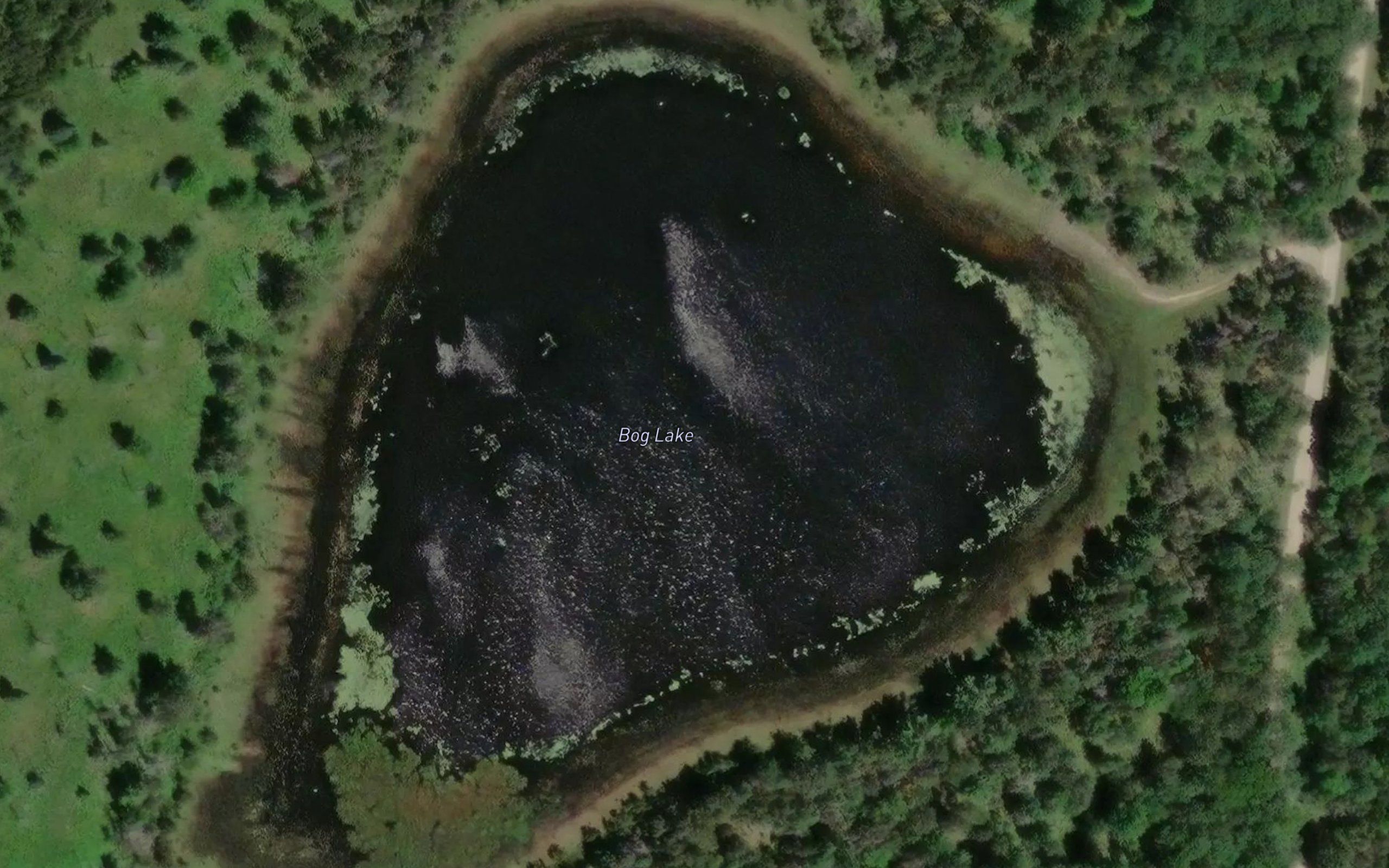 Bog Lake