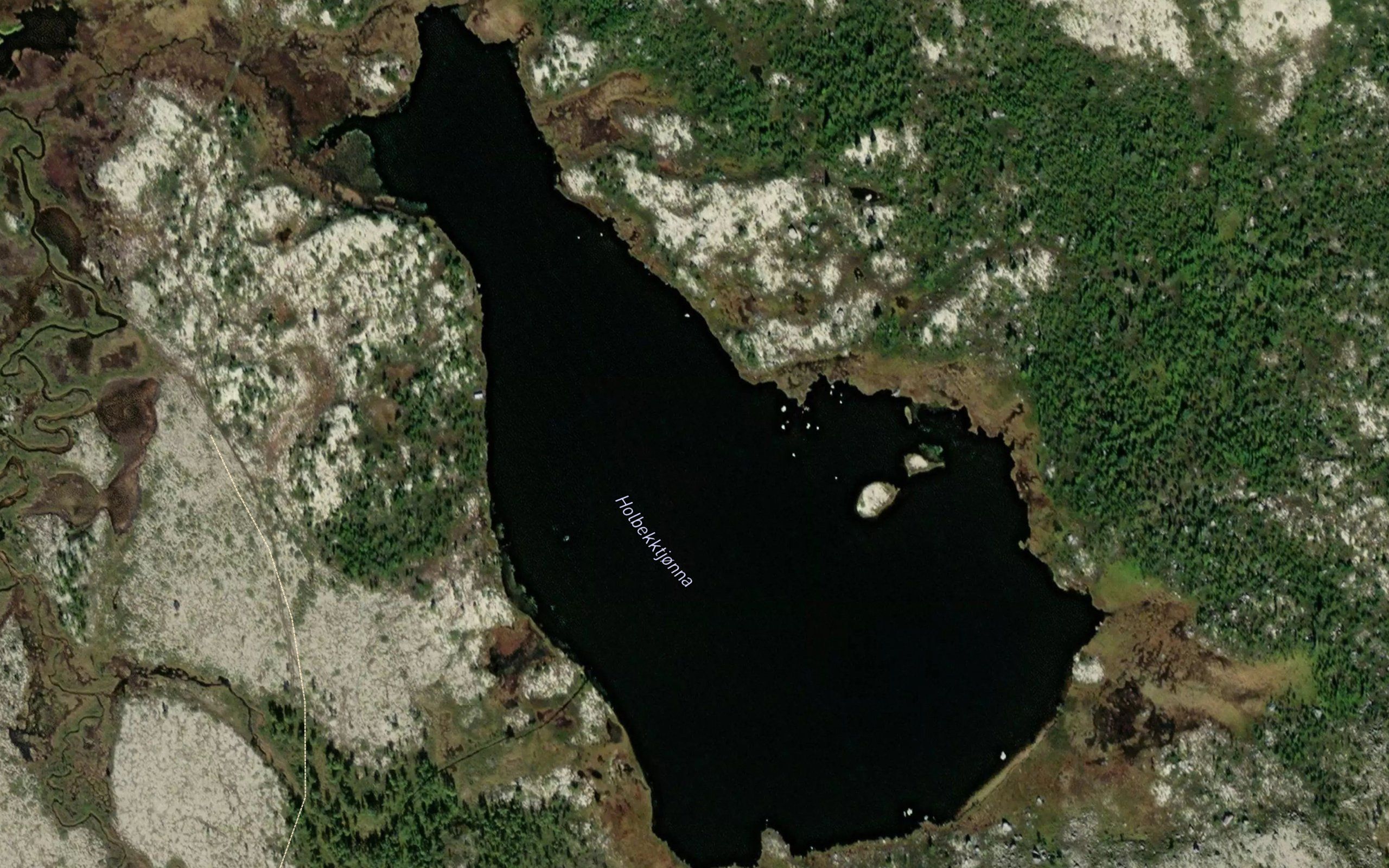 Holbekktjorna