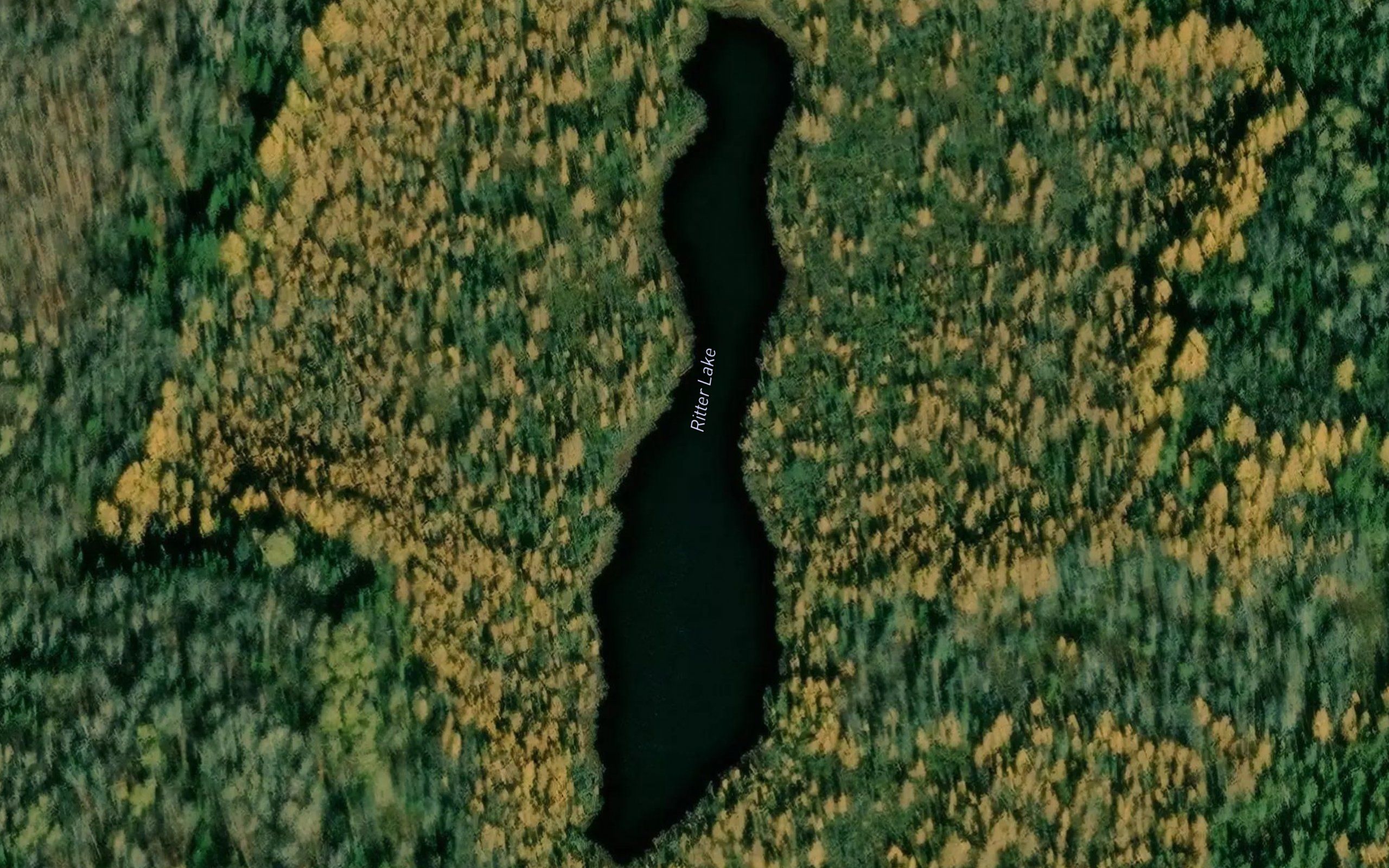 Ritter Lake