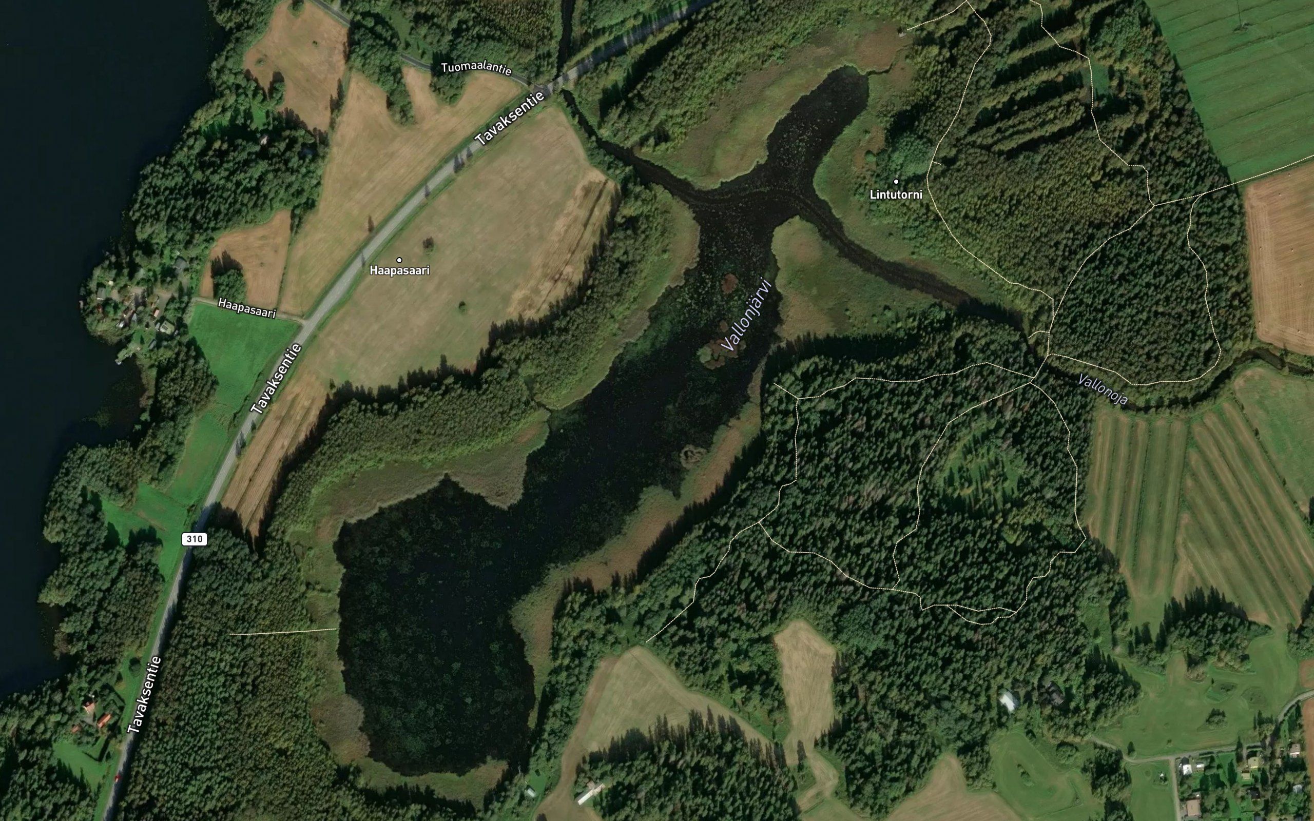 Vallonjaervi