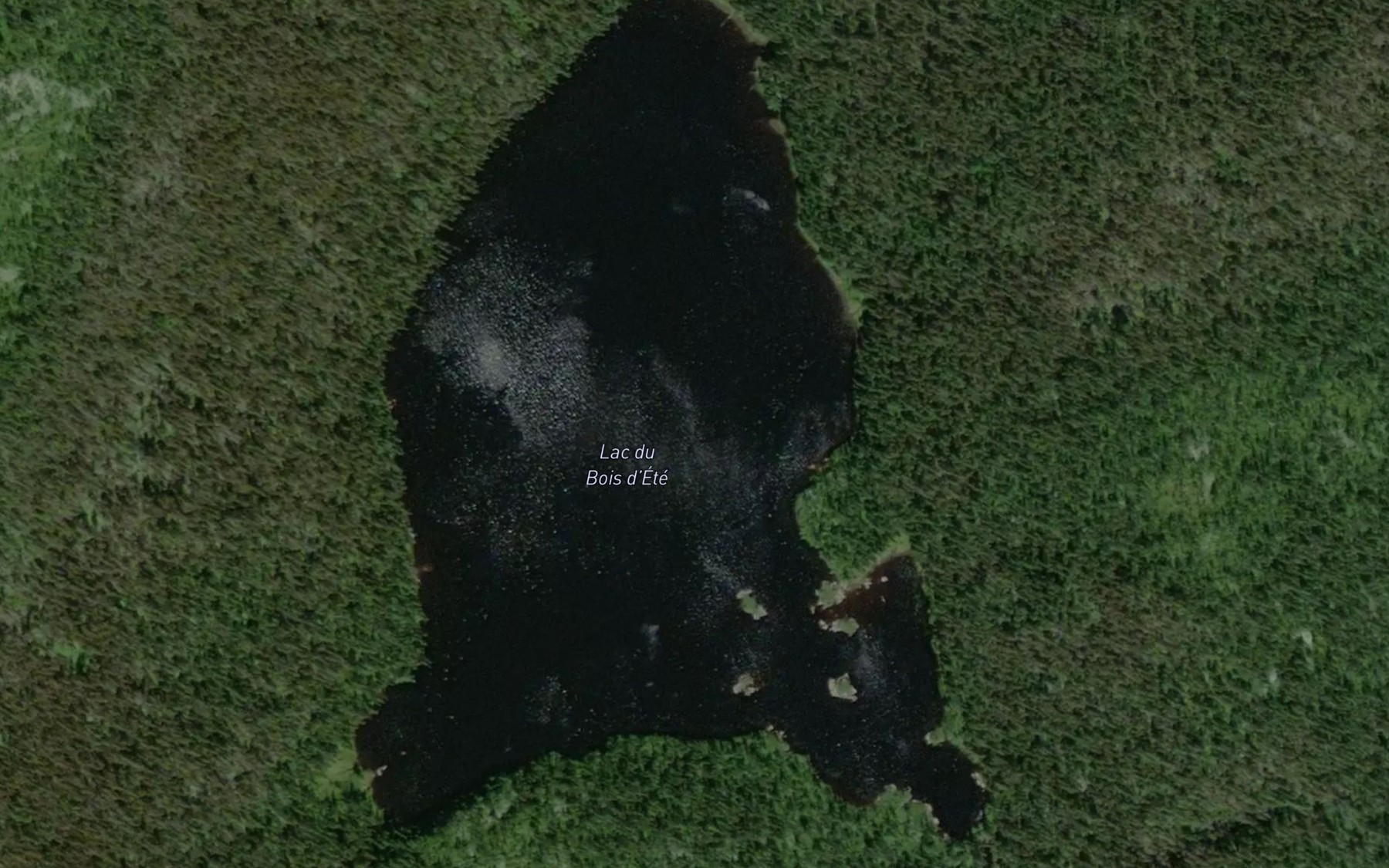 Satellite map of the Lac du Bois d'Ete