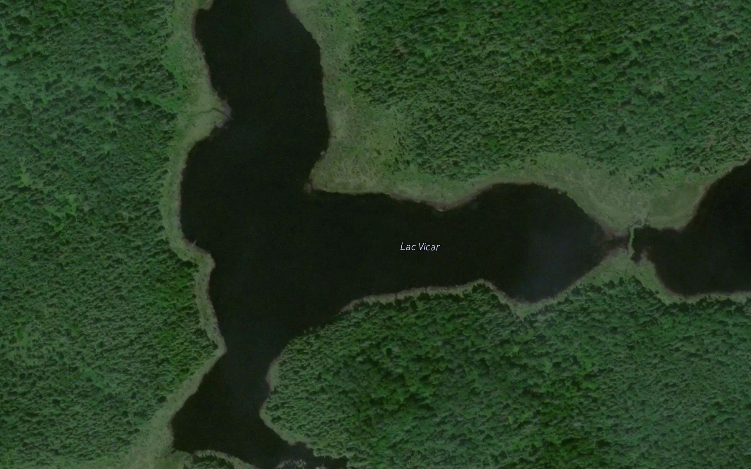 Lac Vicar