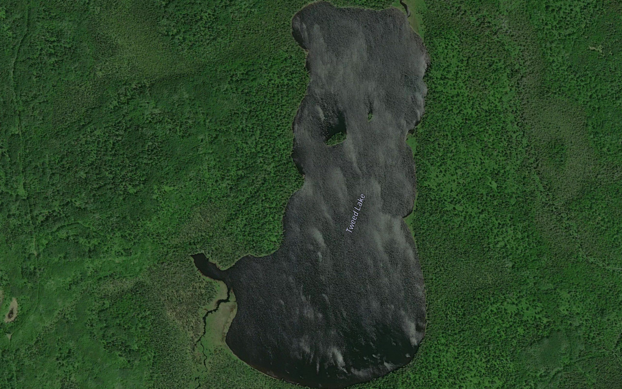 Tweed Lake