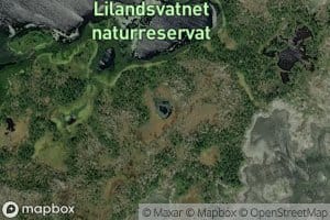 Lapptjonna
