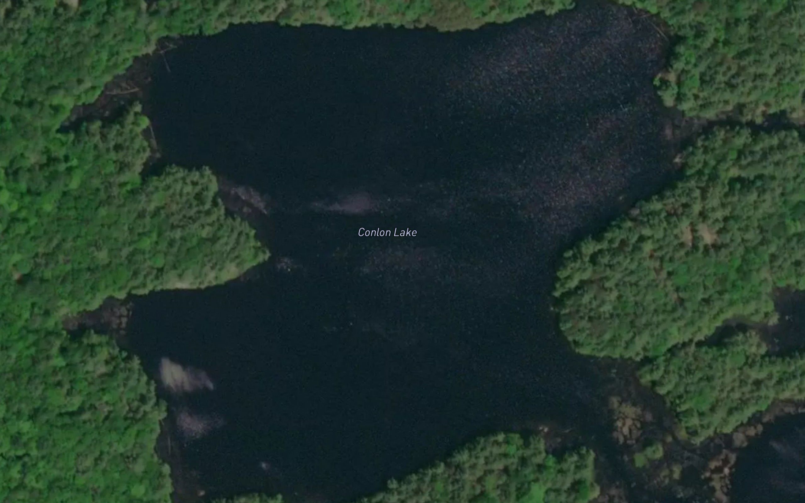 Conlon Lake