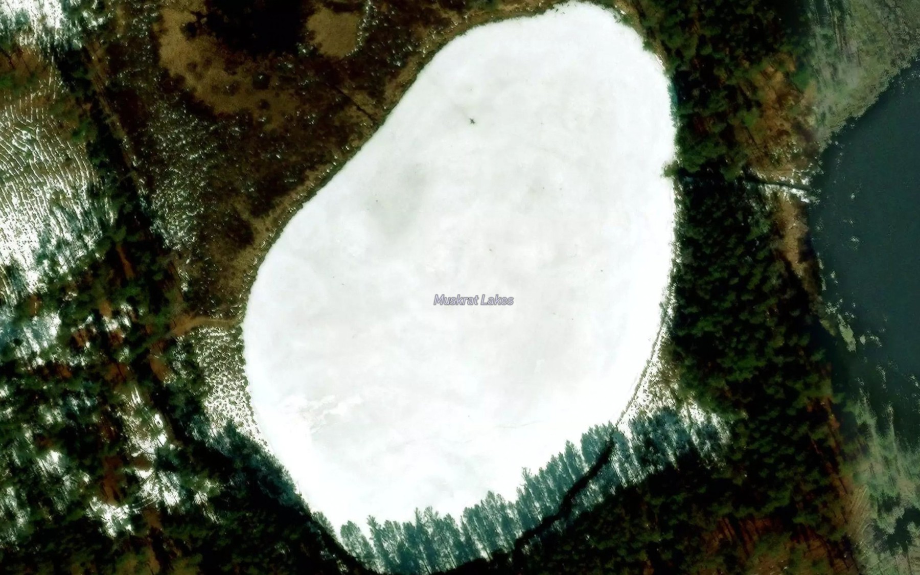 Satellite map of the Muskrat Lakes
