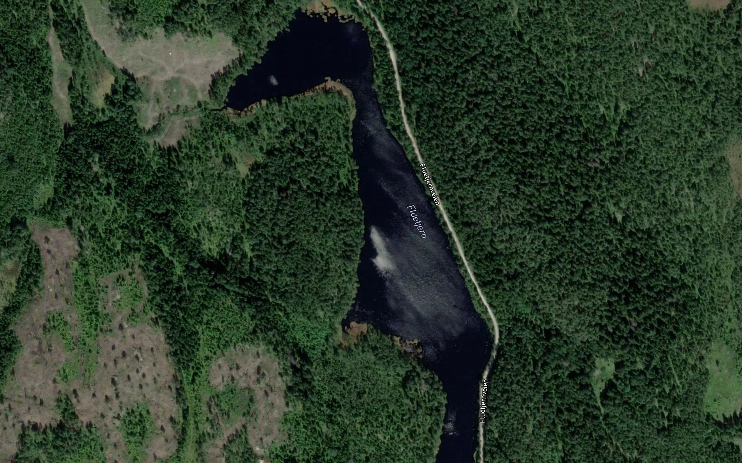 Fluetjern
