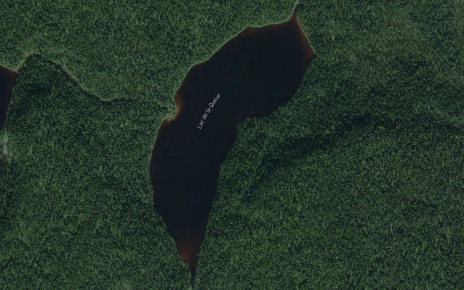 Satellite map of the Lac de la Queue