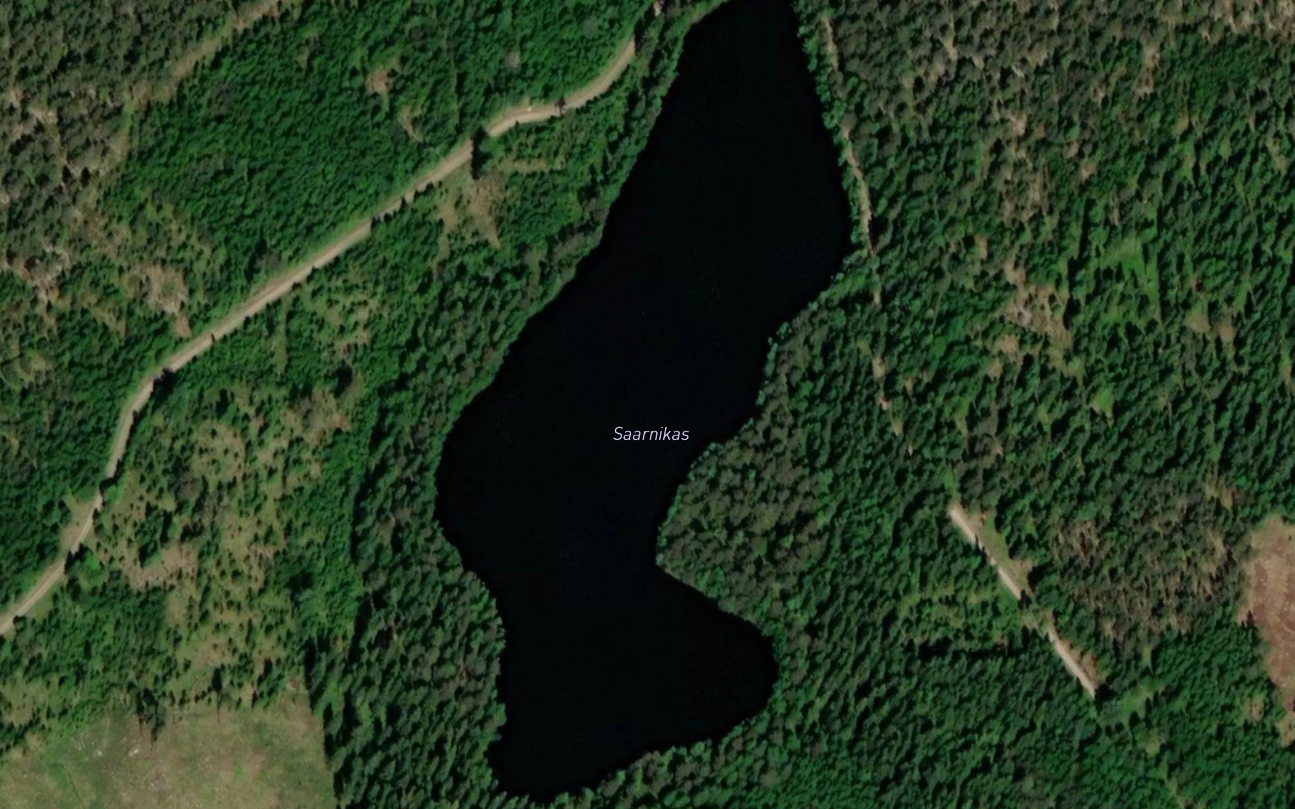 Saarnikas