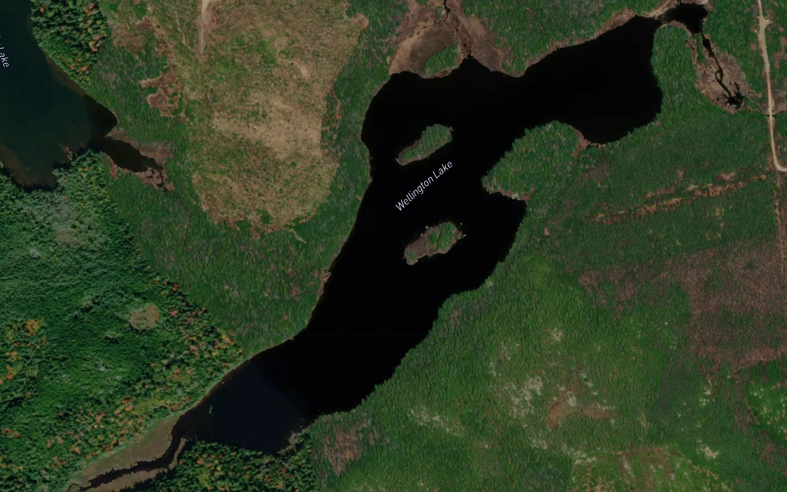 Wellington Lake