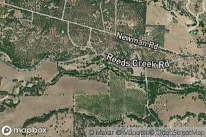 Liza Creek