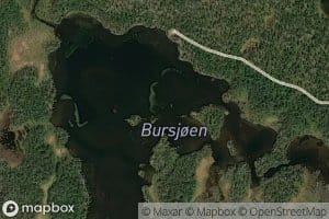 Busjoen