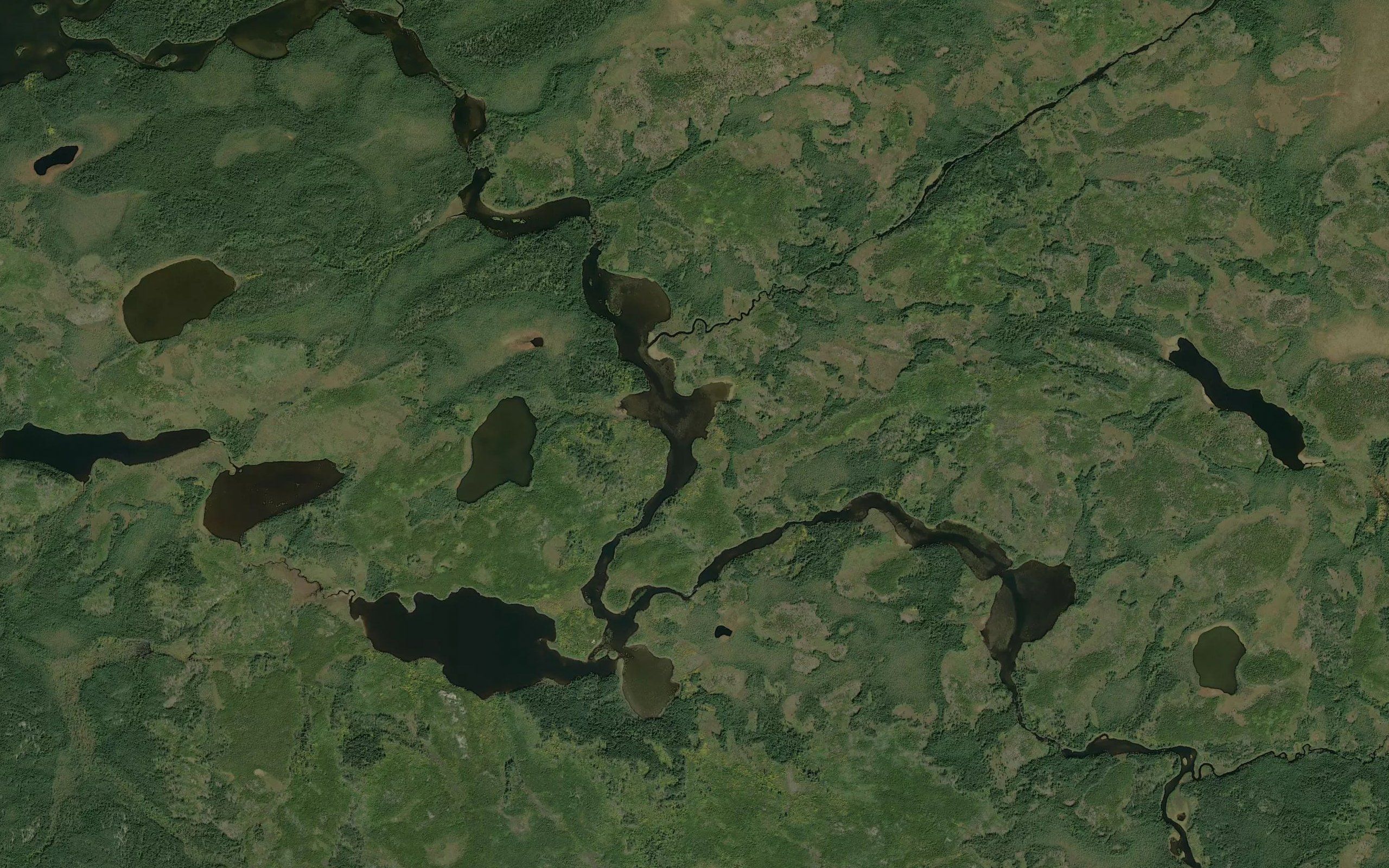 Foxhead Creek