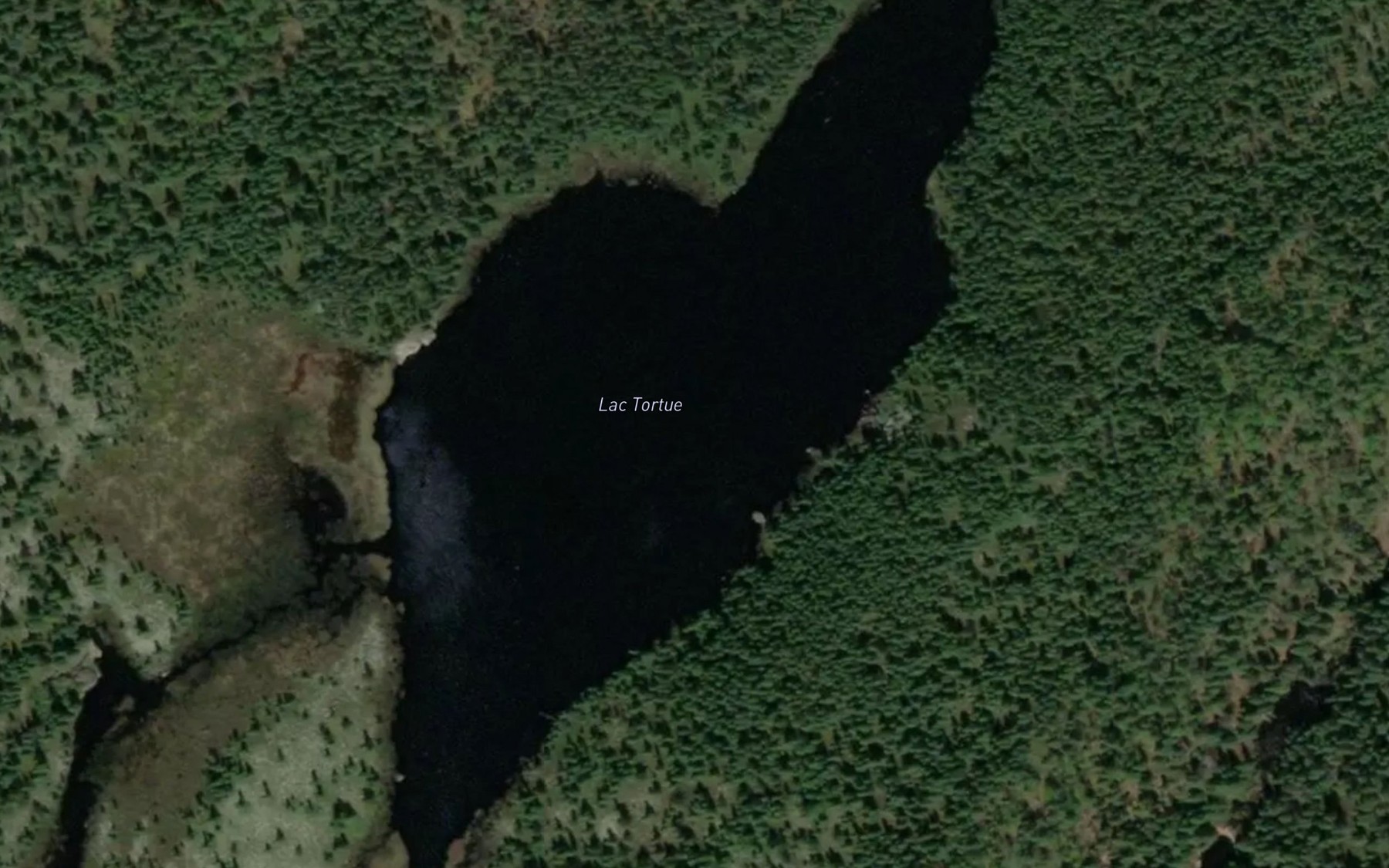 Satellite map of the Lac Tortue