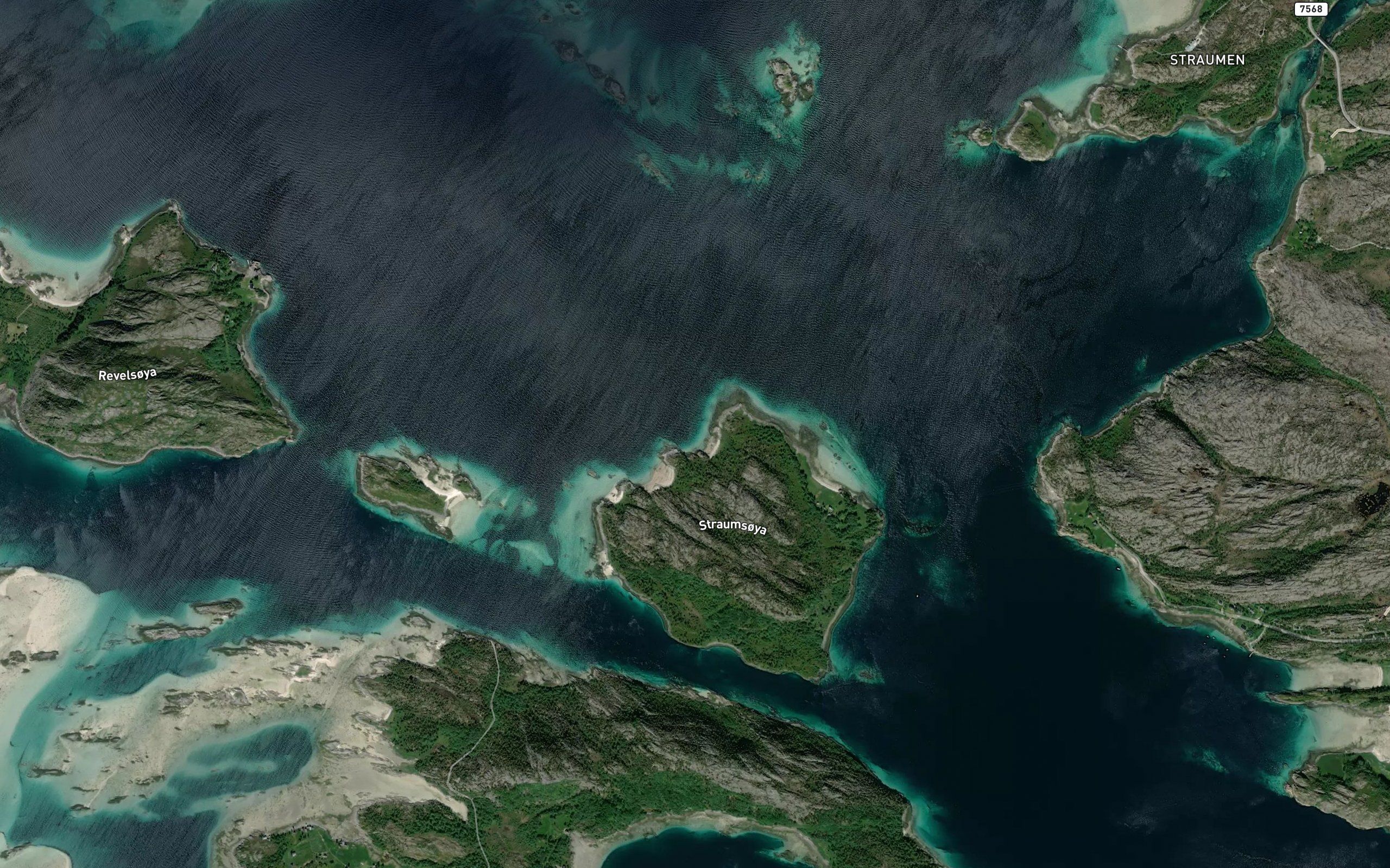Jettavika