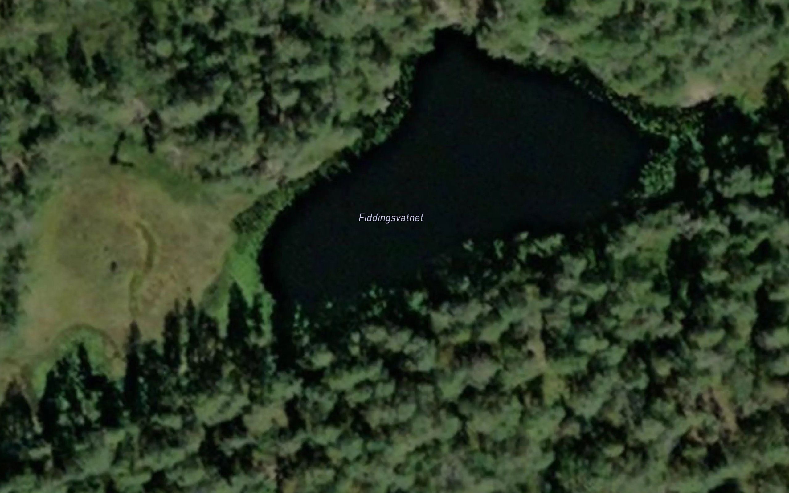 Fiddingsvatnet