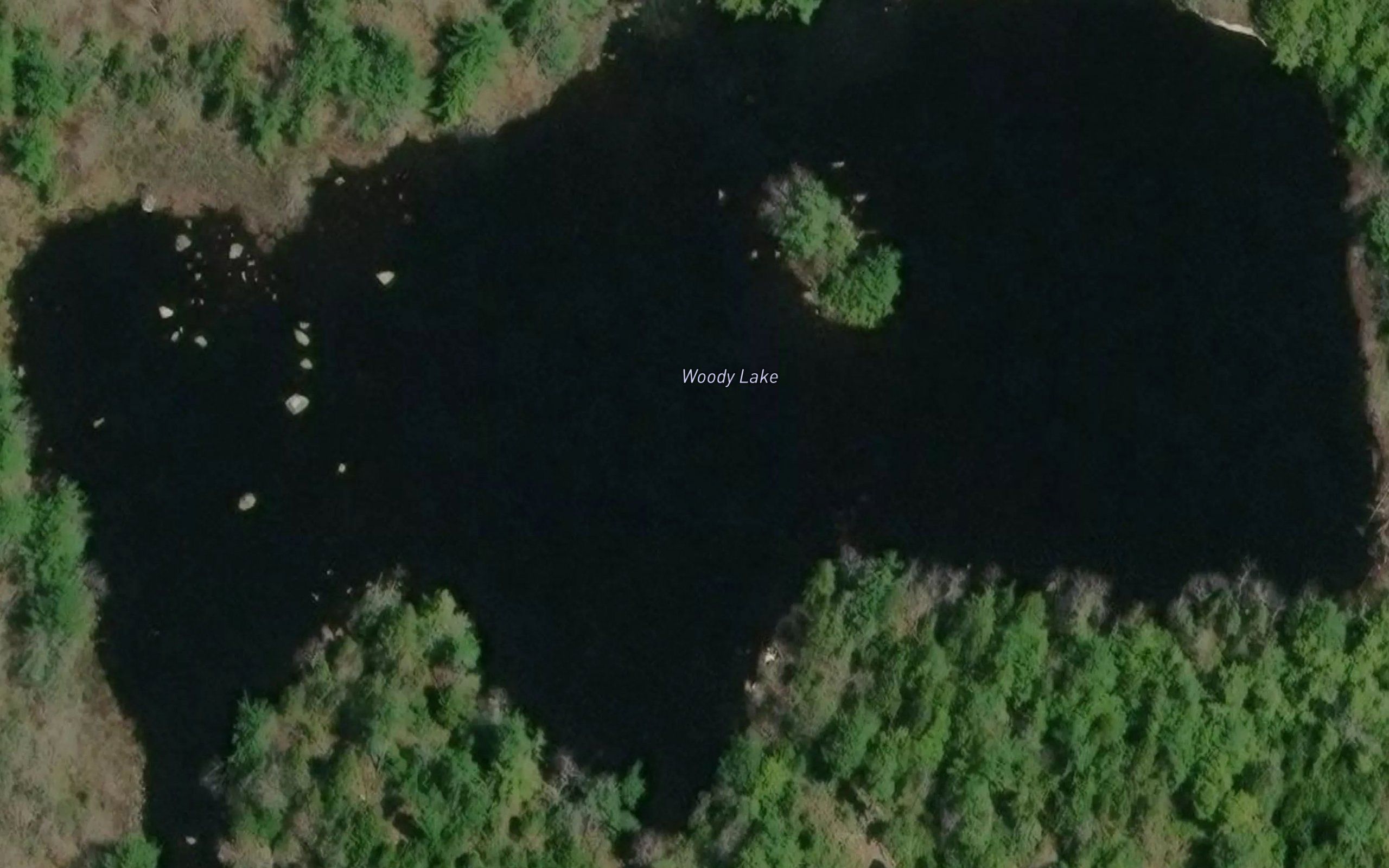 Woody Lake