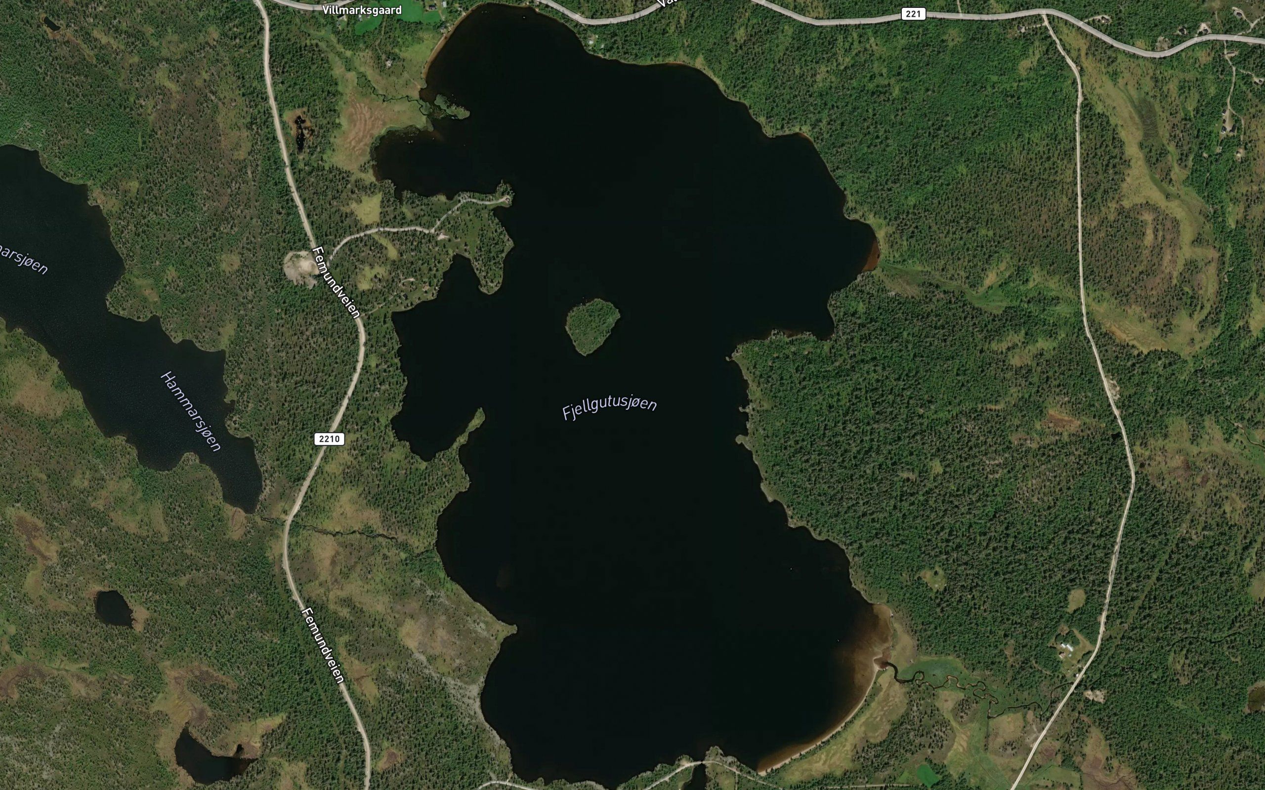 Fjellgutusjoen