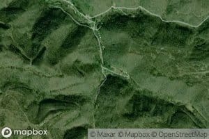 Long Fork