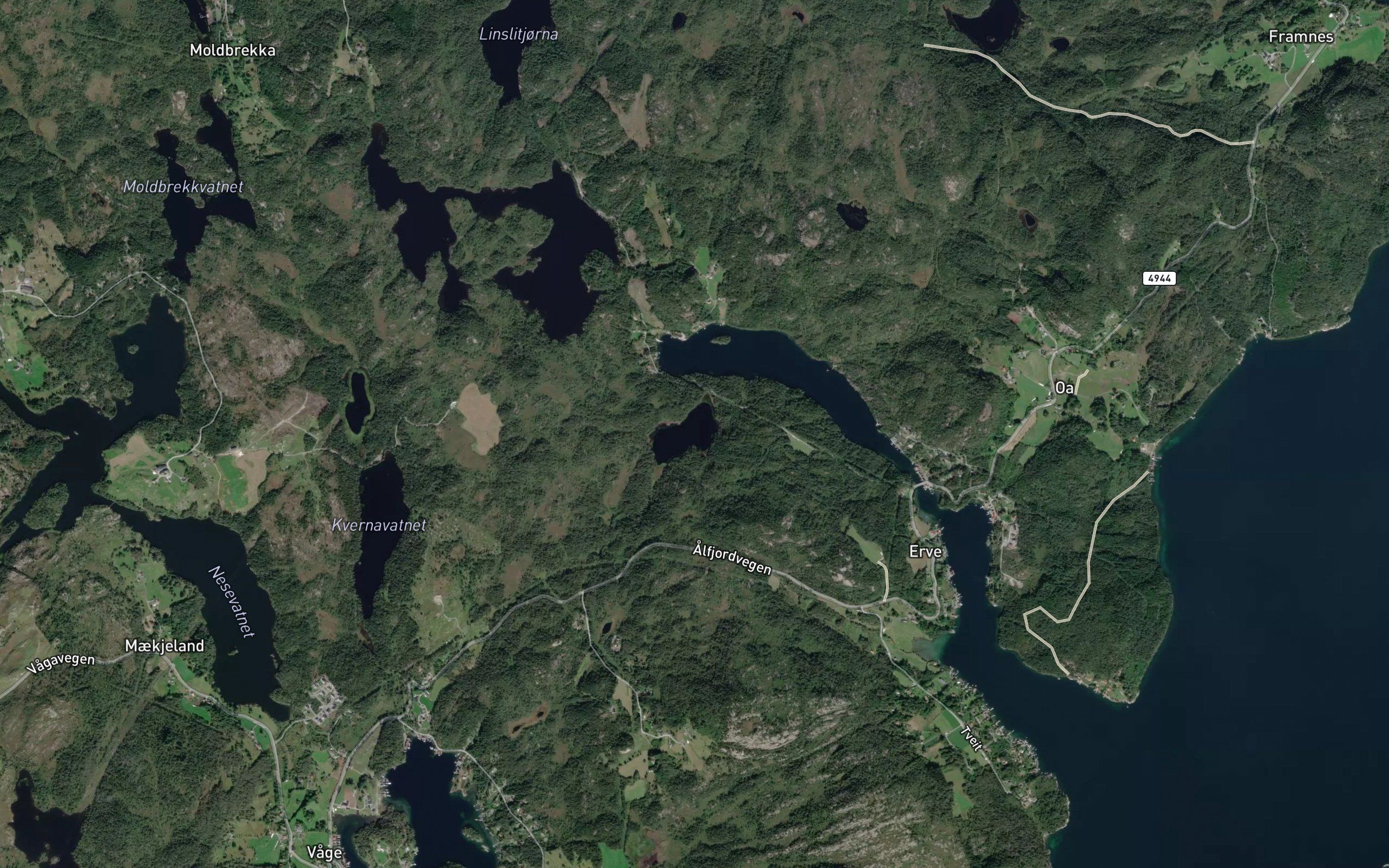 Ervestjorna