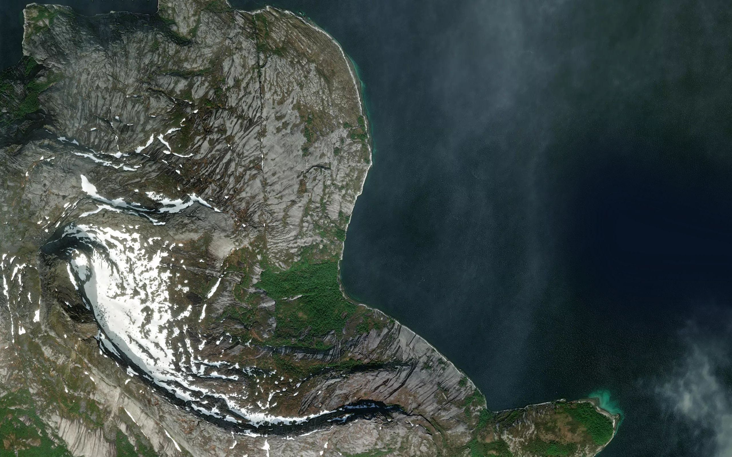 Purkvika