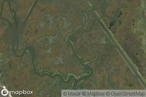 Bayou Goreau