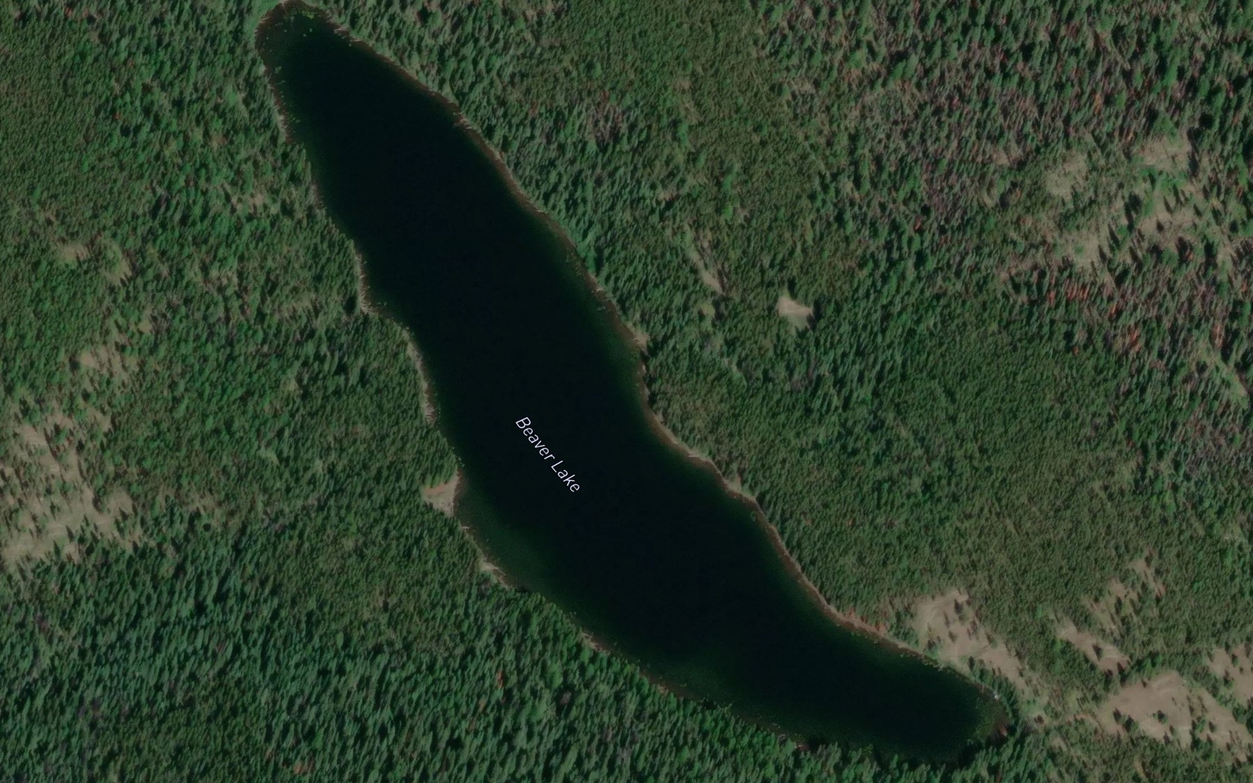 Satellite map of the Beaver Lake