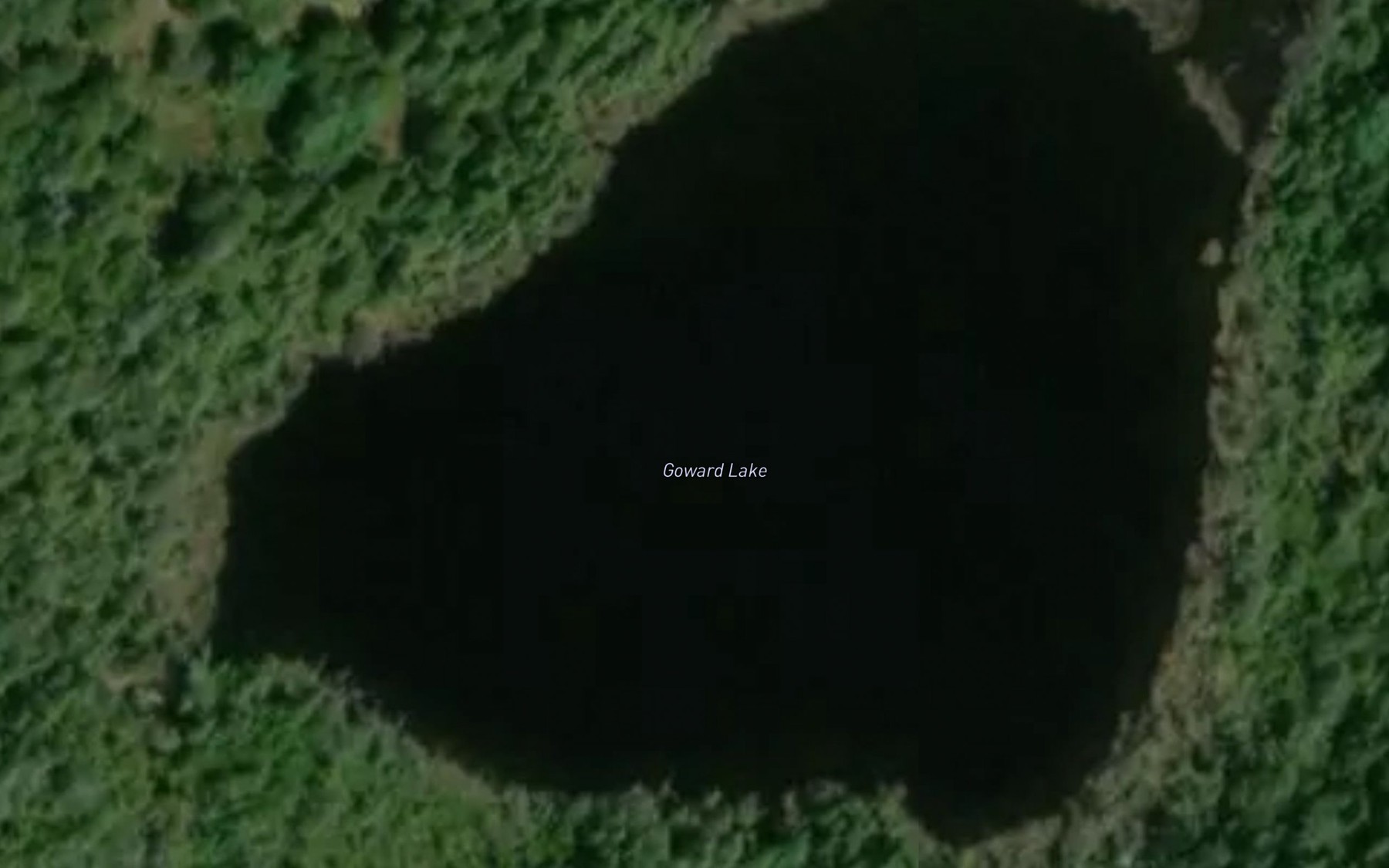 Satellite map of the Goward Lake