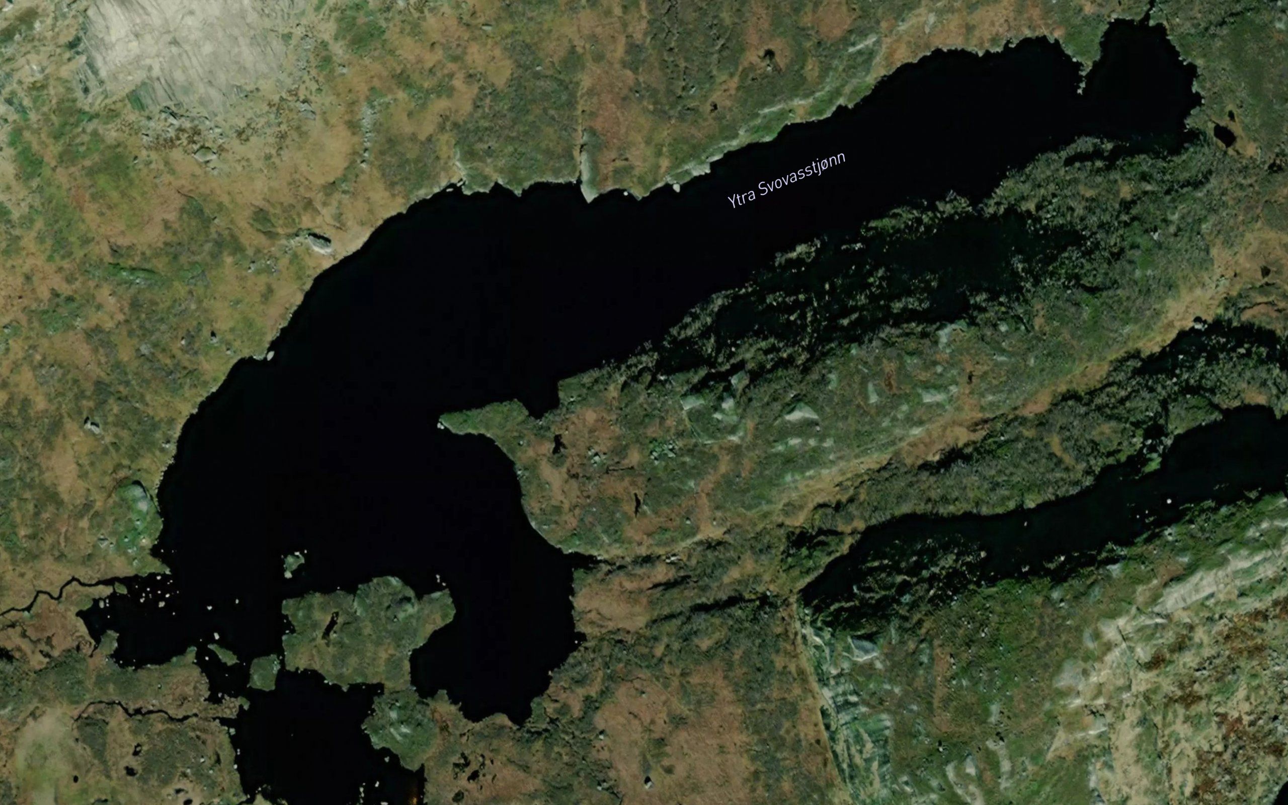 Svodvasstjorni,nedre