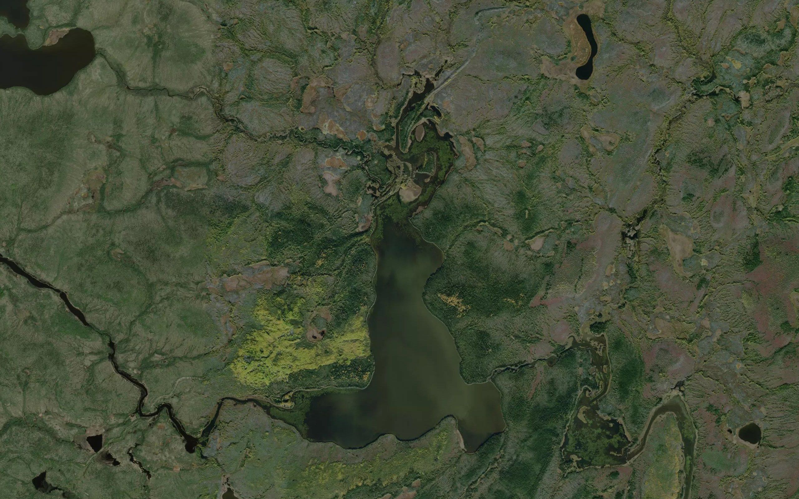 Reddie Lake