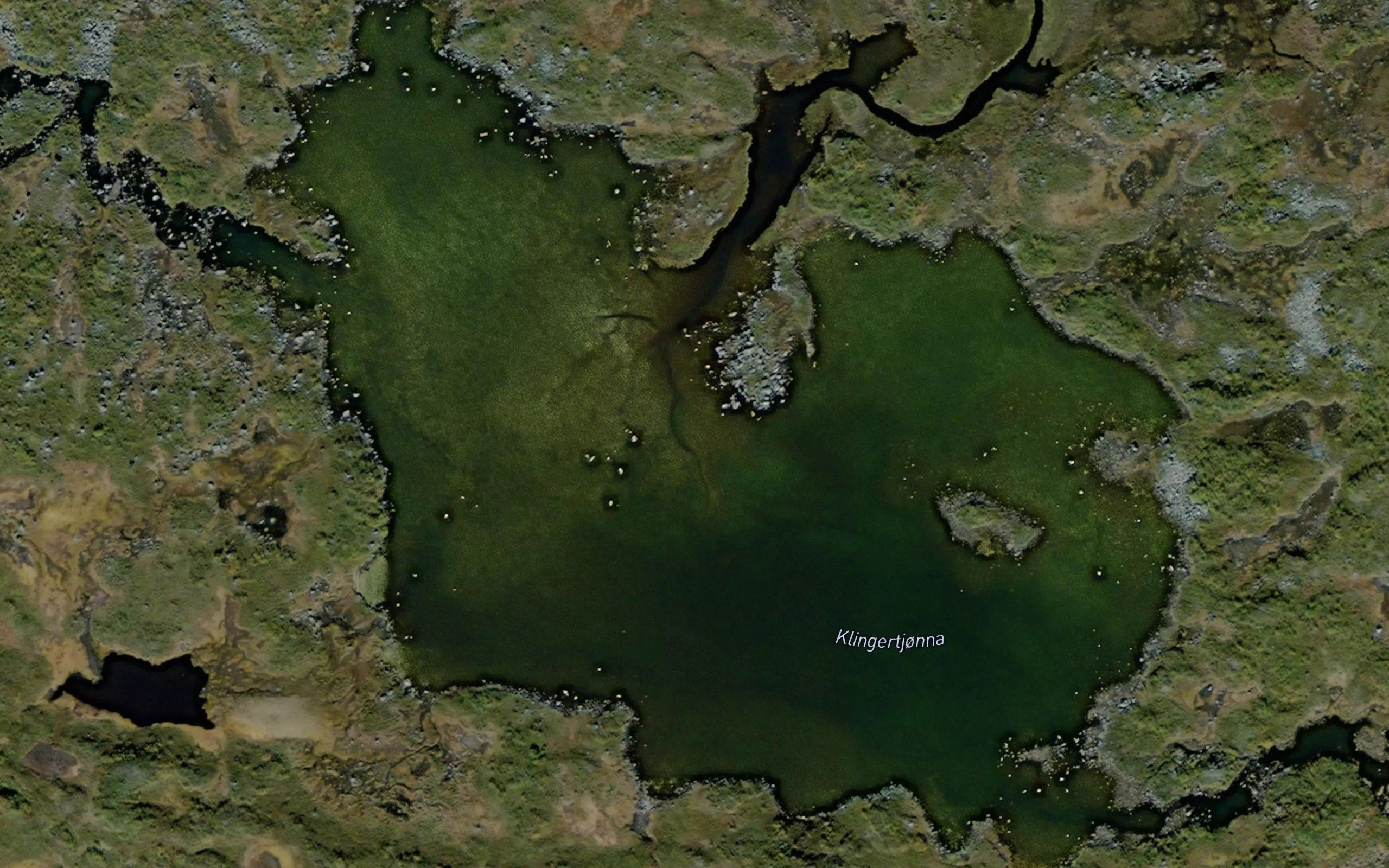 Klingertjorna