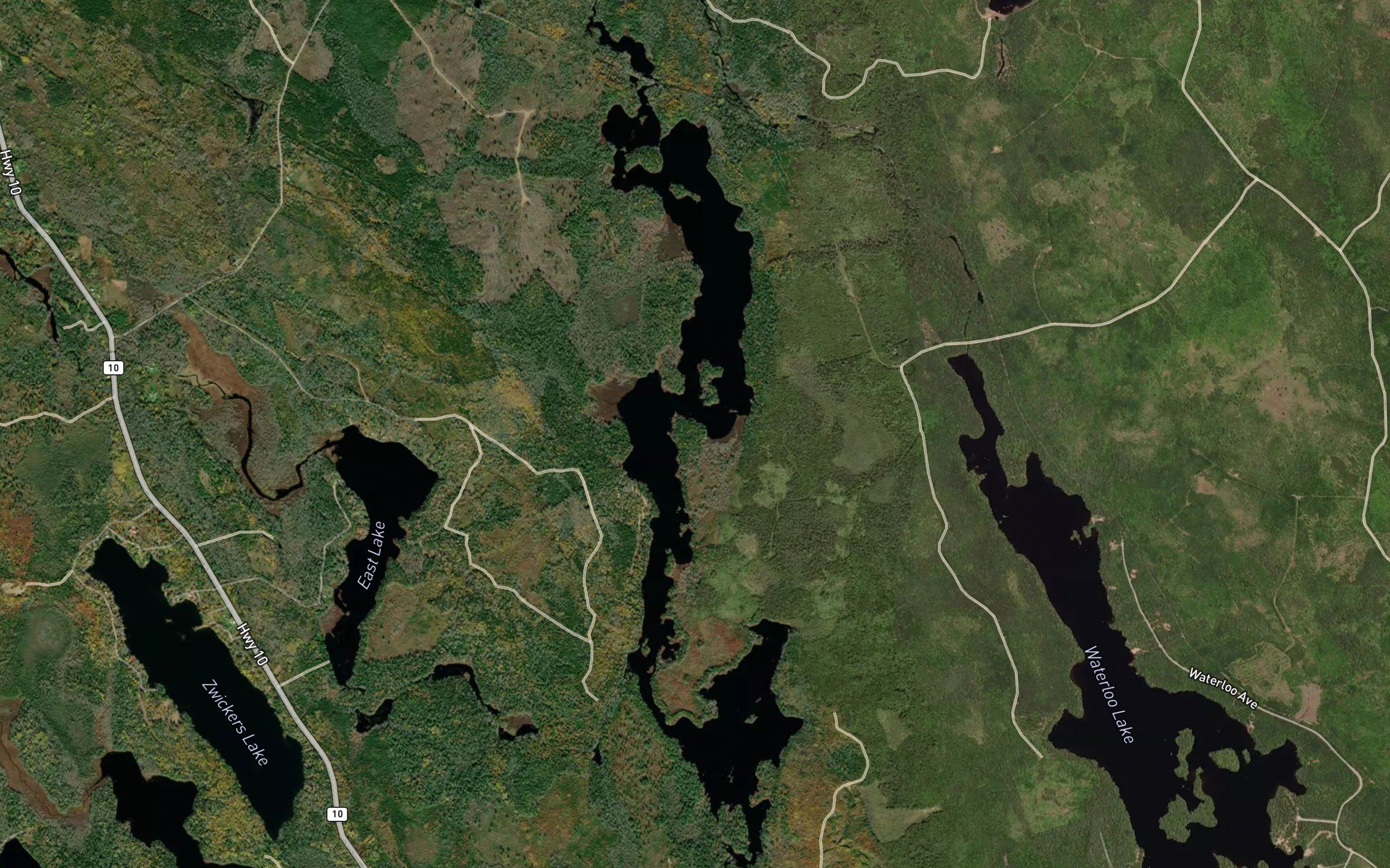 Shannon Lake