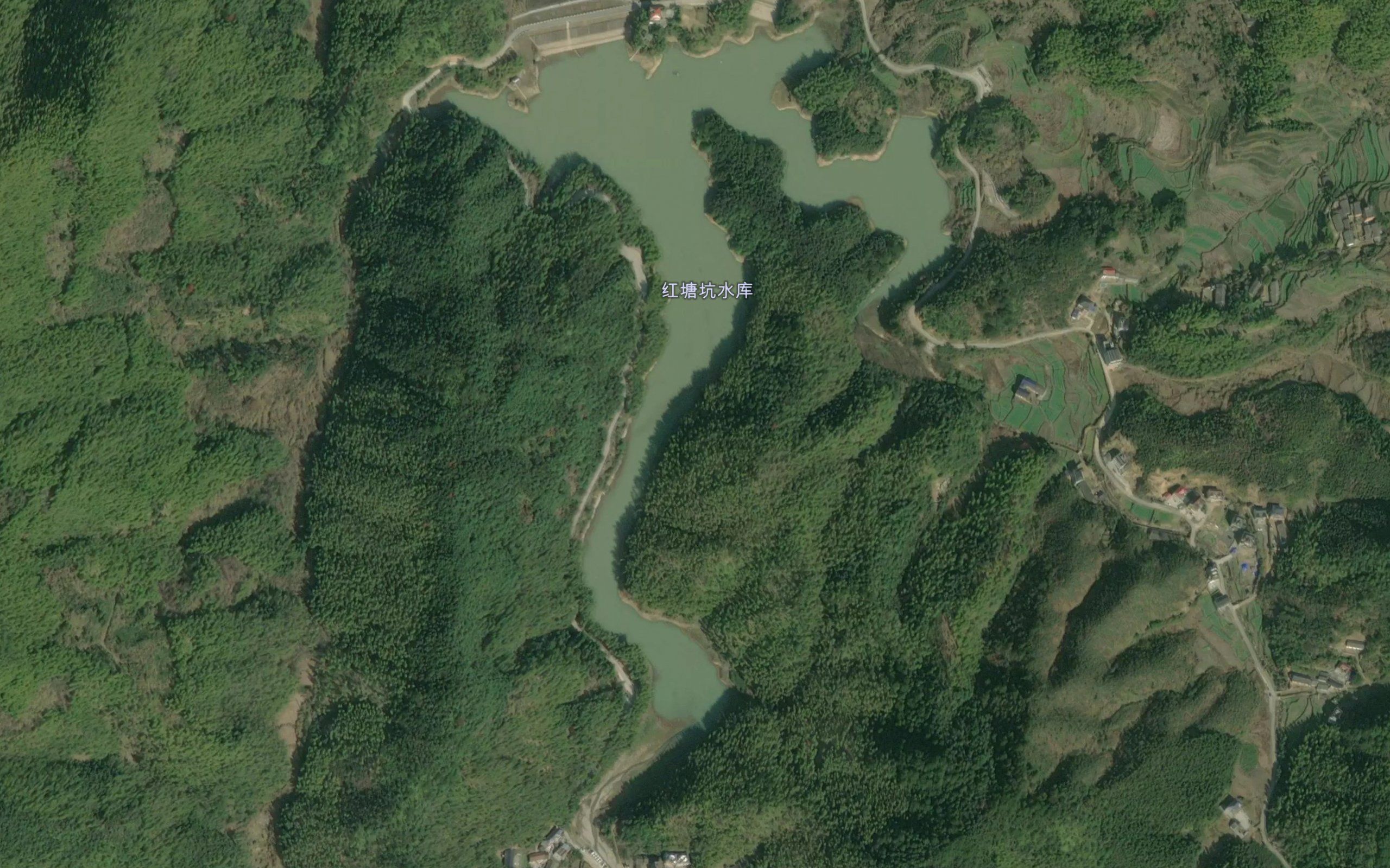 Hongnitang
