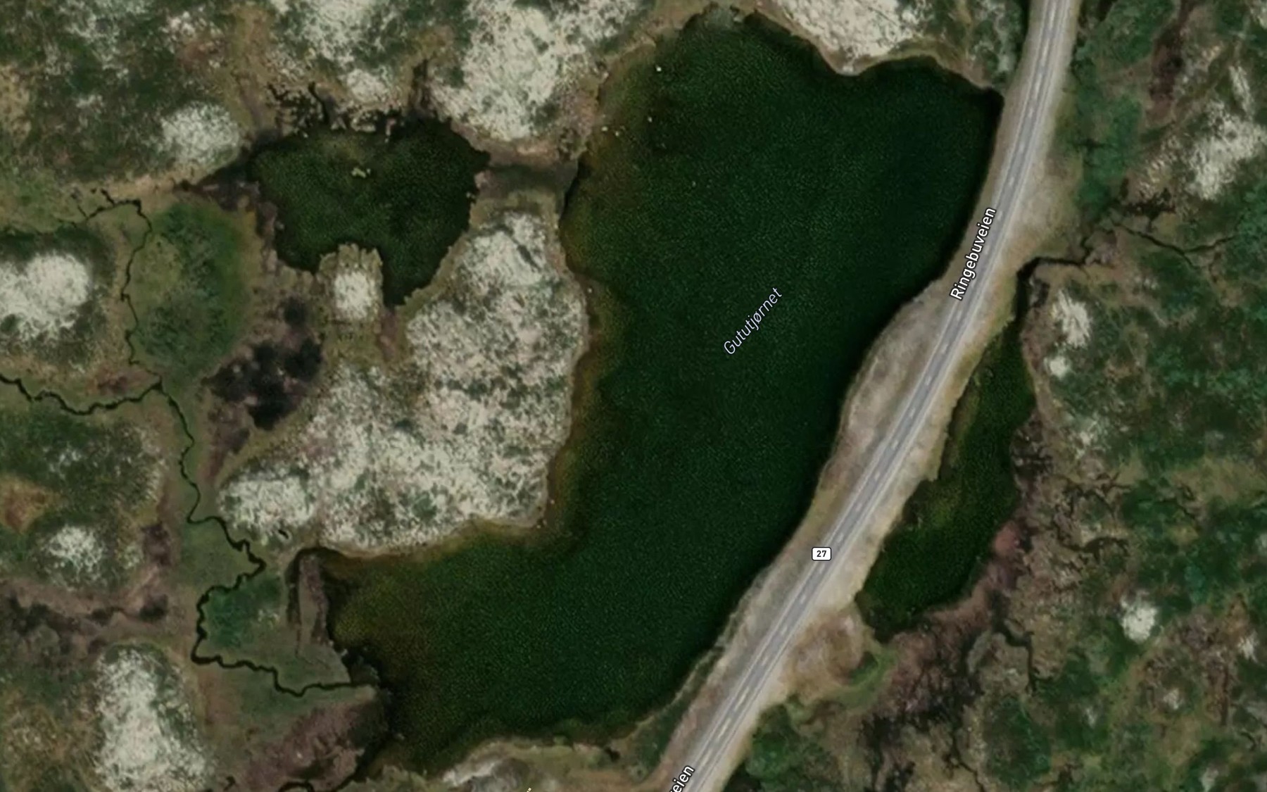 Satellite map of the Gututjornet