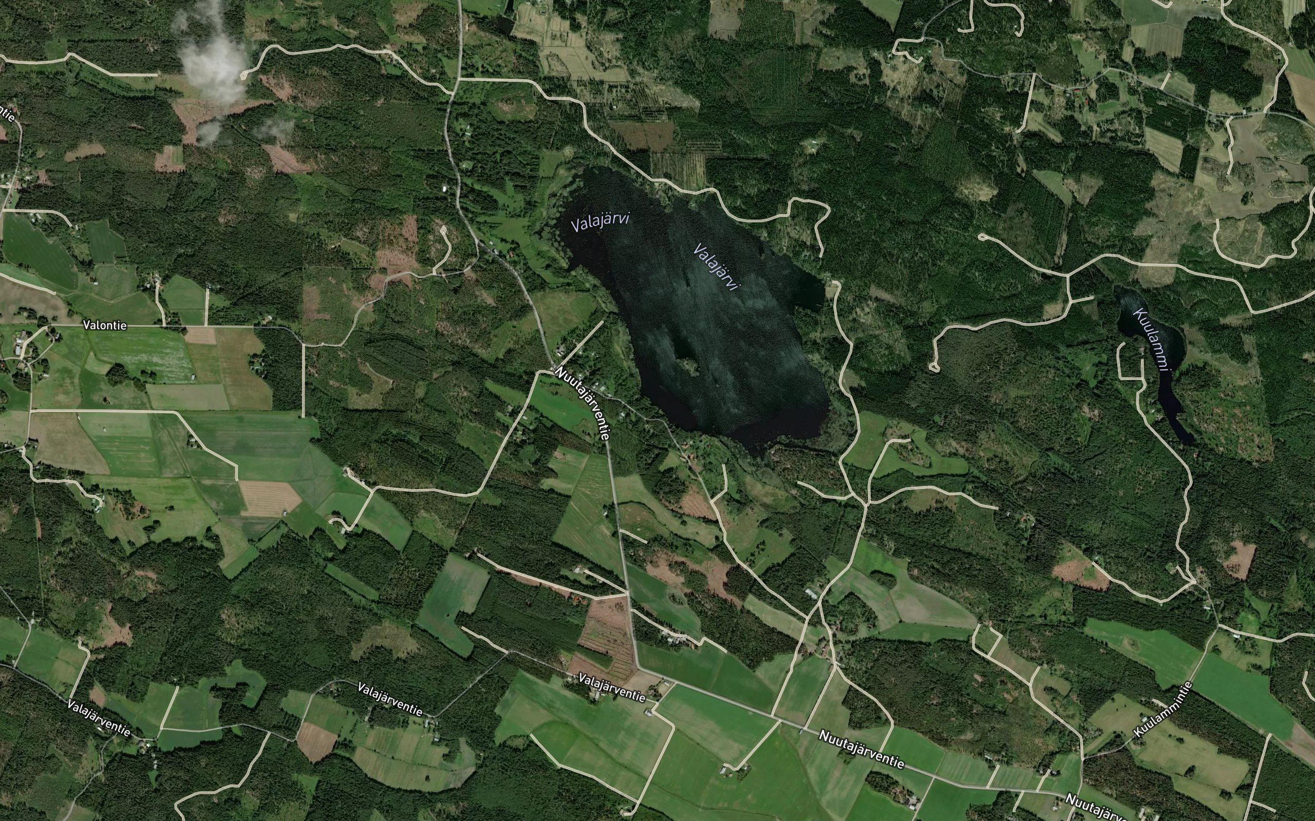 Ammonoja