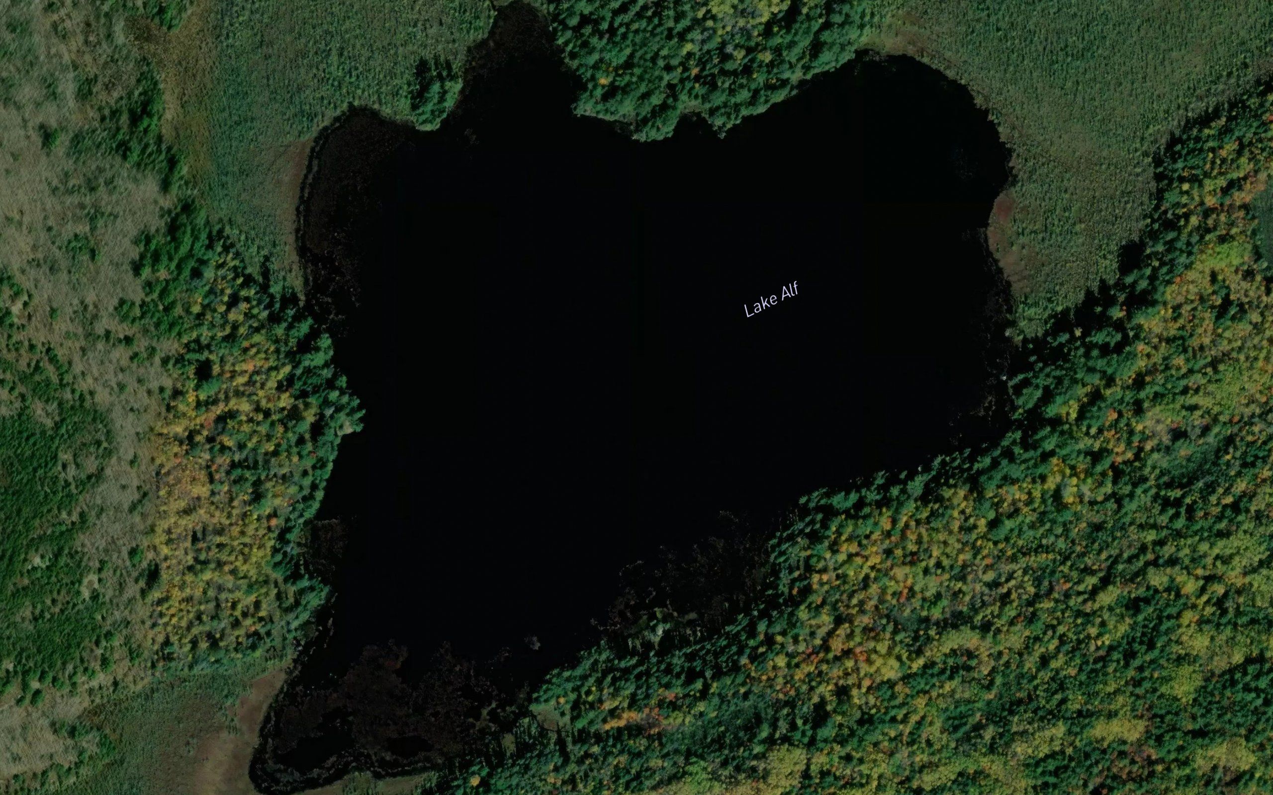 Lake Alf