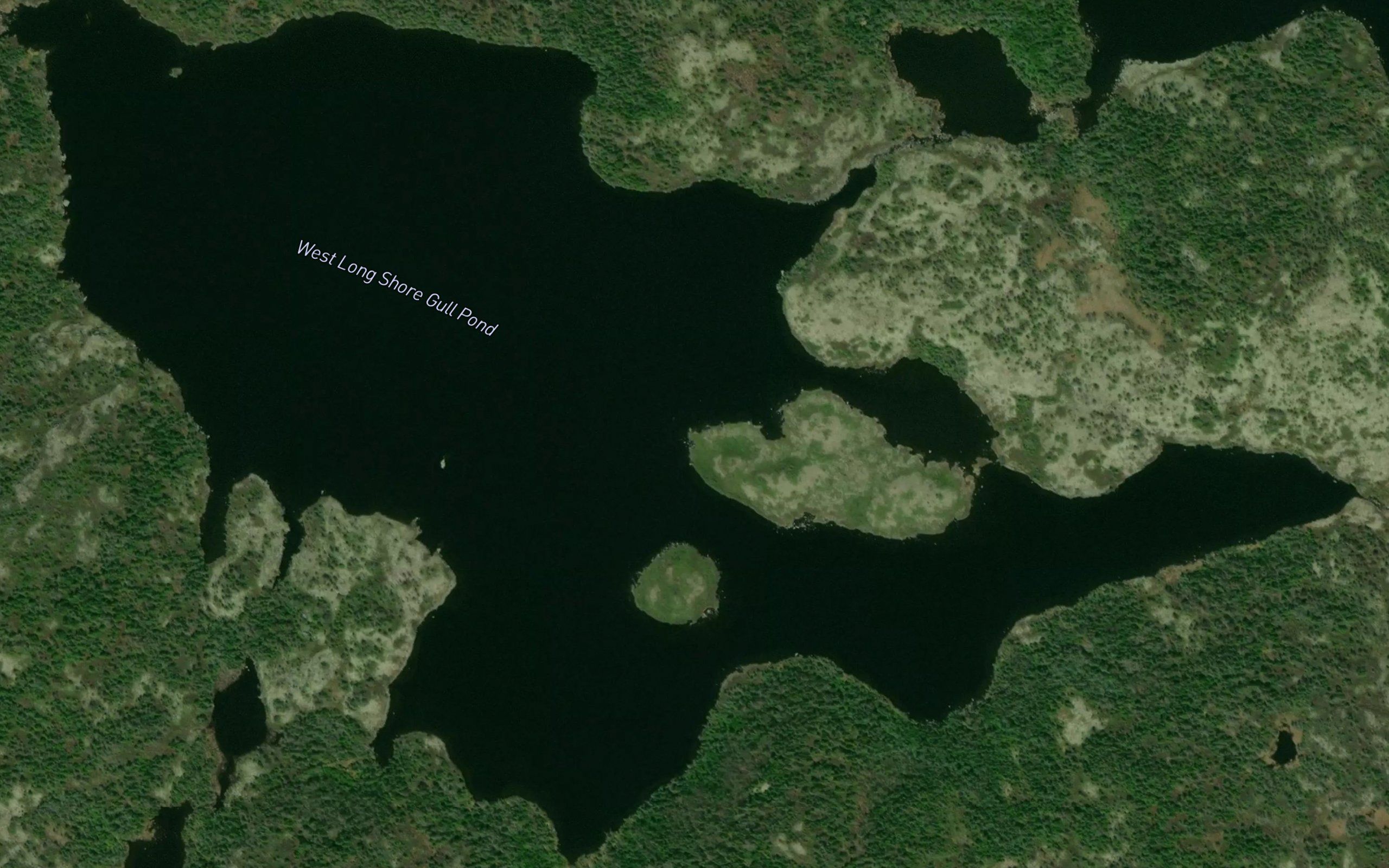 West Long Shore Gull Pond