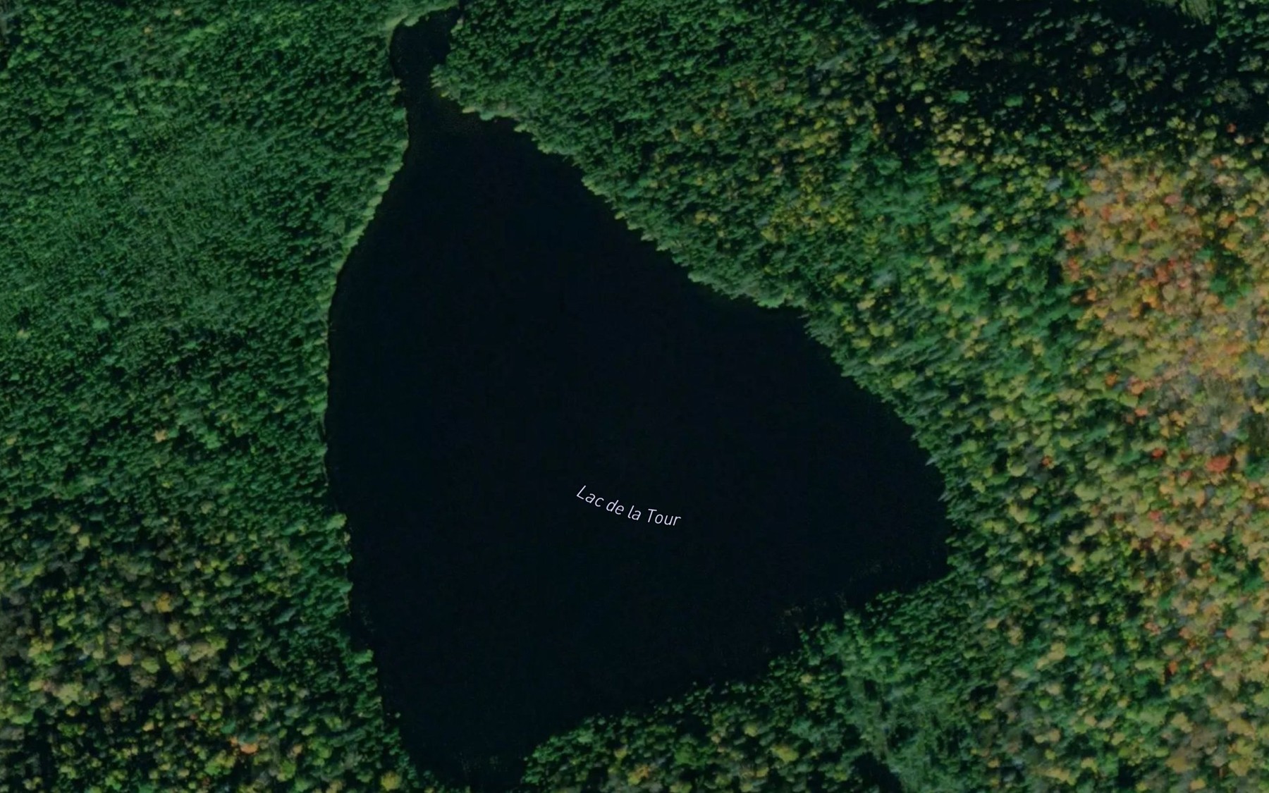 Satellite map of the Lac de la Tour