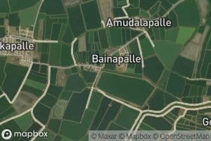 Pedda Nindrakolanu Branch Channel