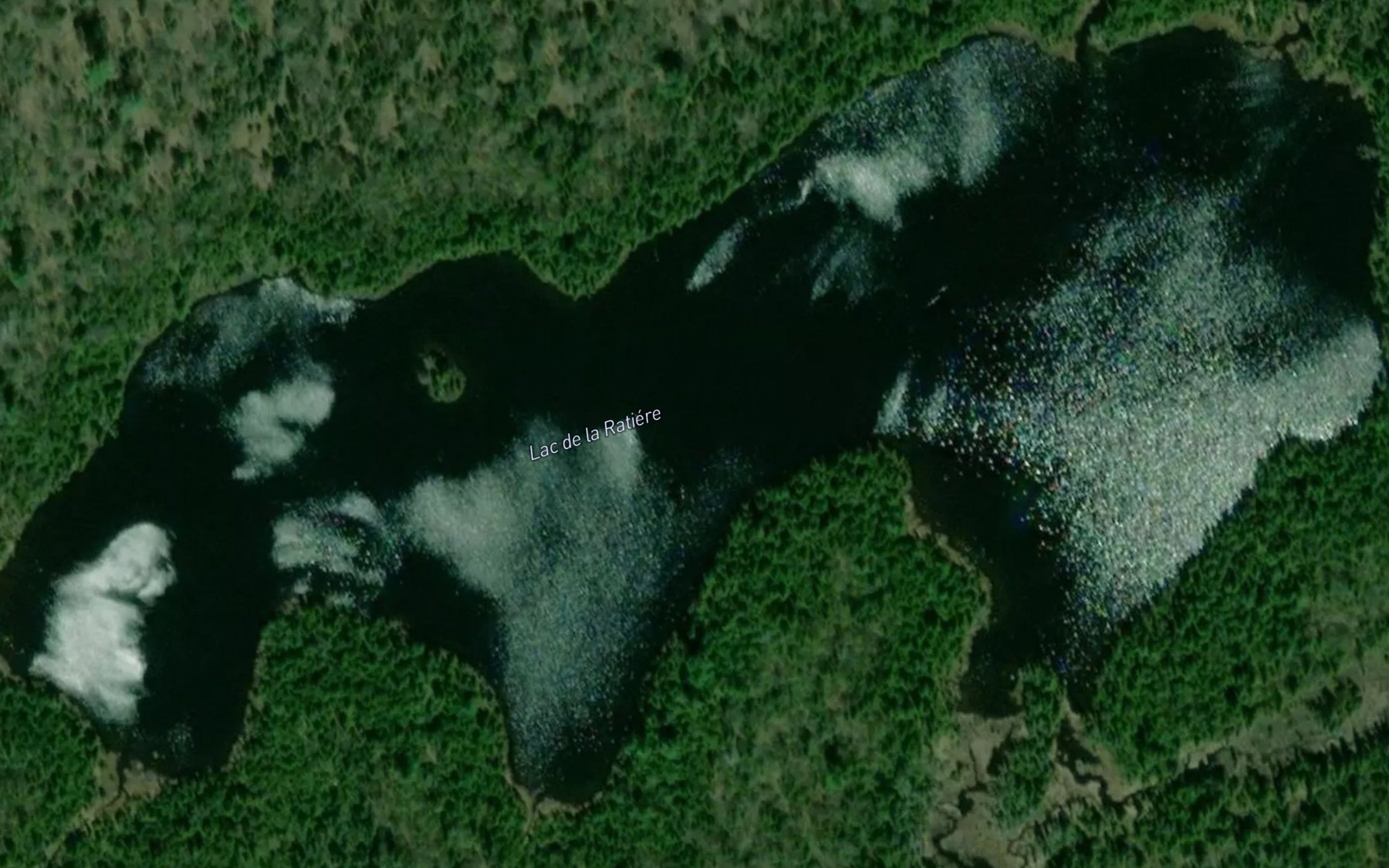 Satellite map of the Lac de la Ratiere