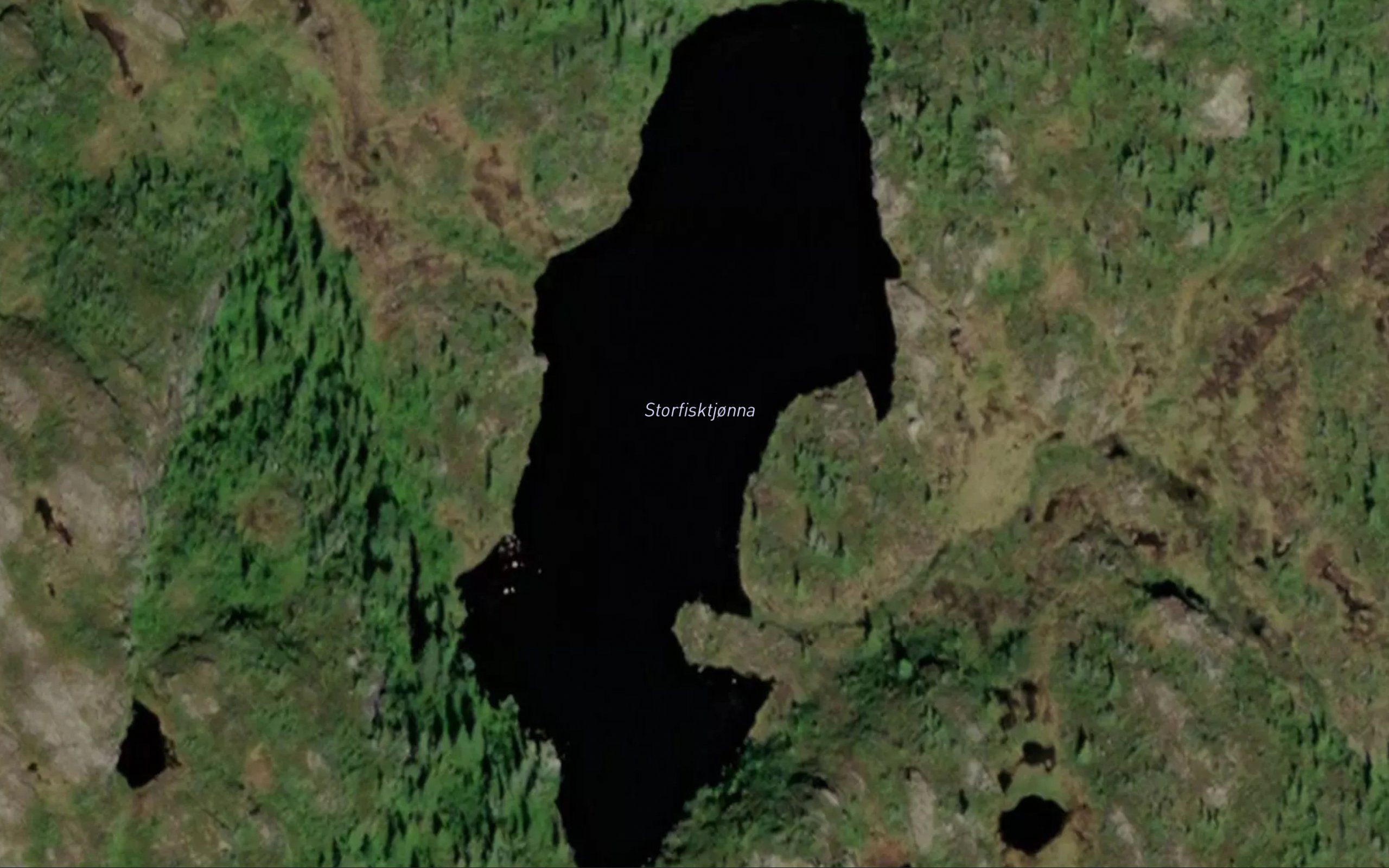 Storfisktjonna