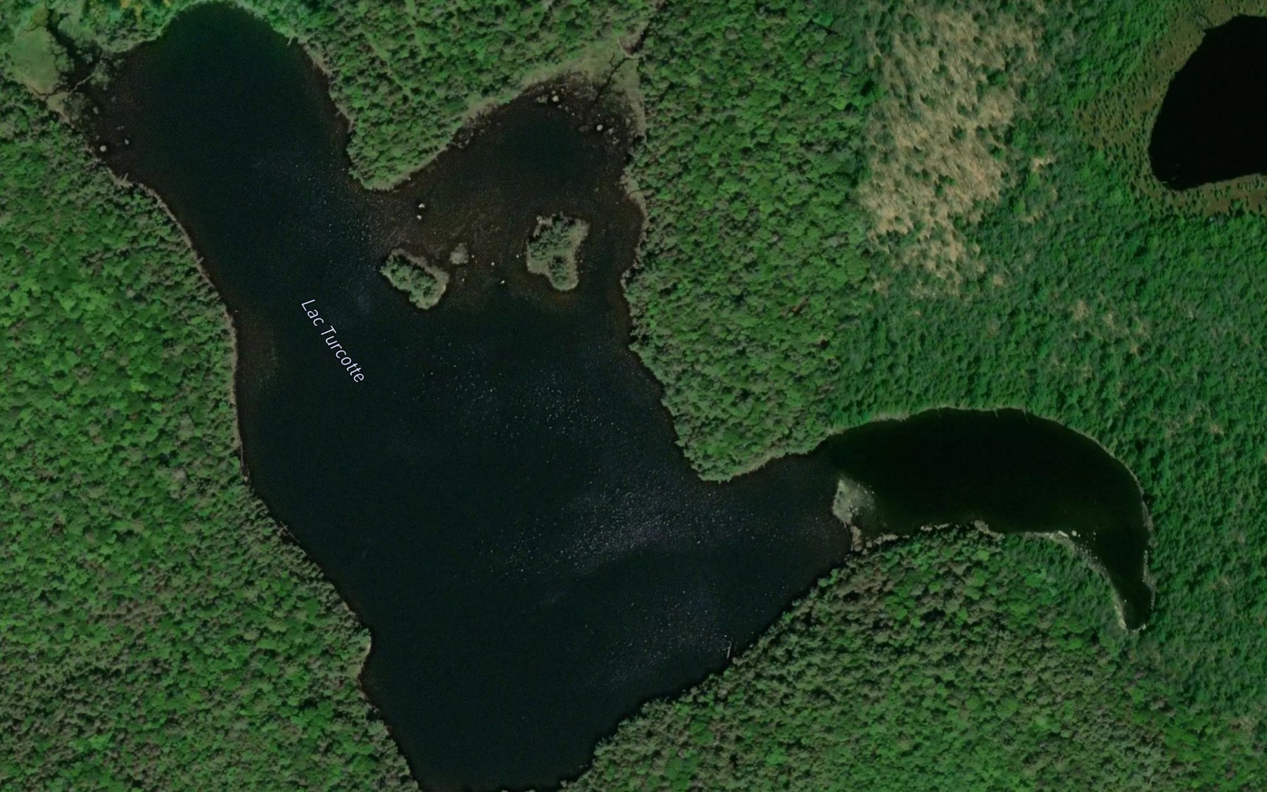 Satellite map of the Lac Turcotte